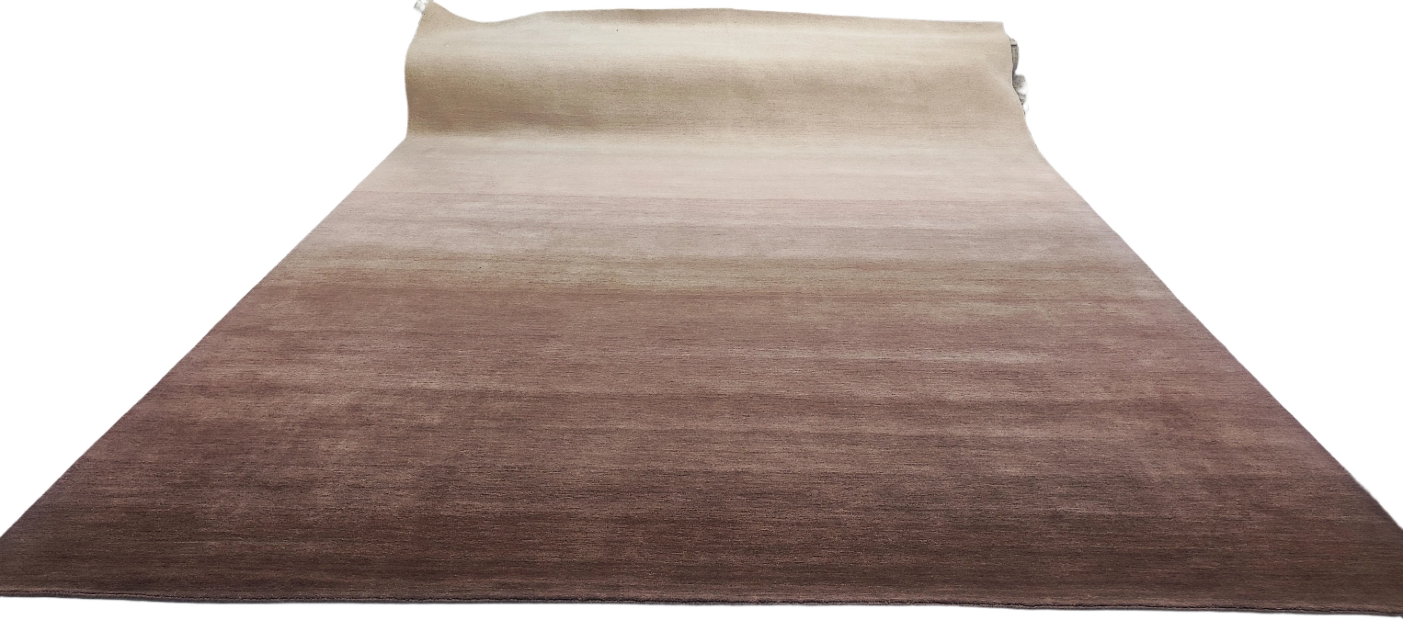 Diaz 10x13.9 Brown Handwoven Modern Rug