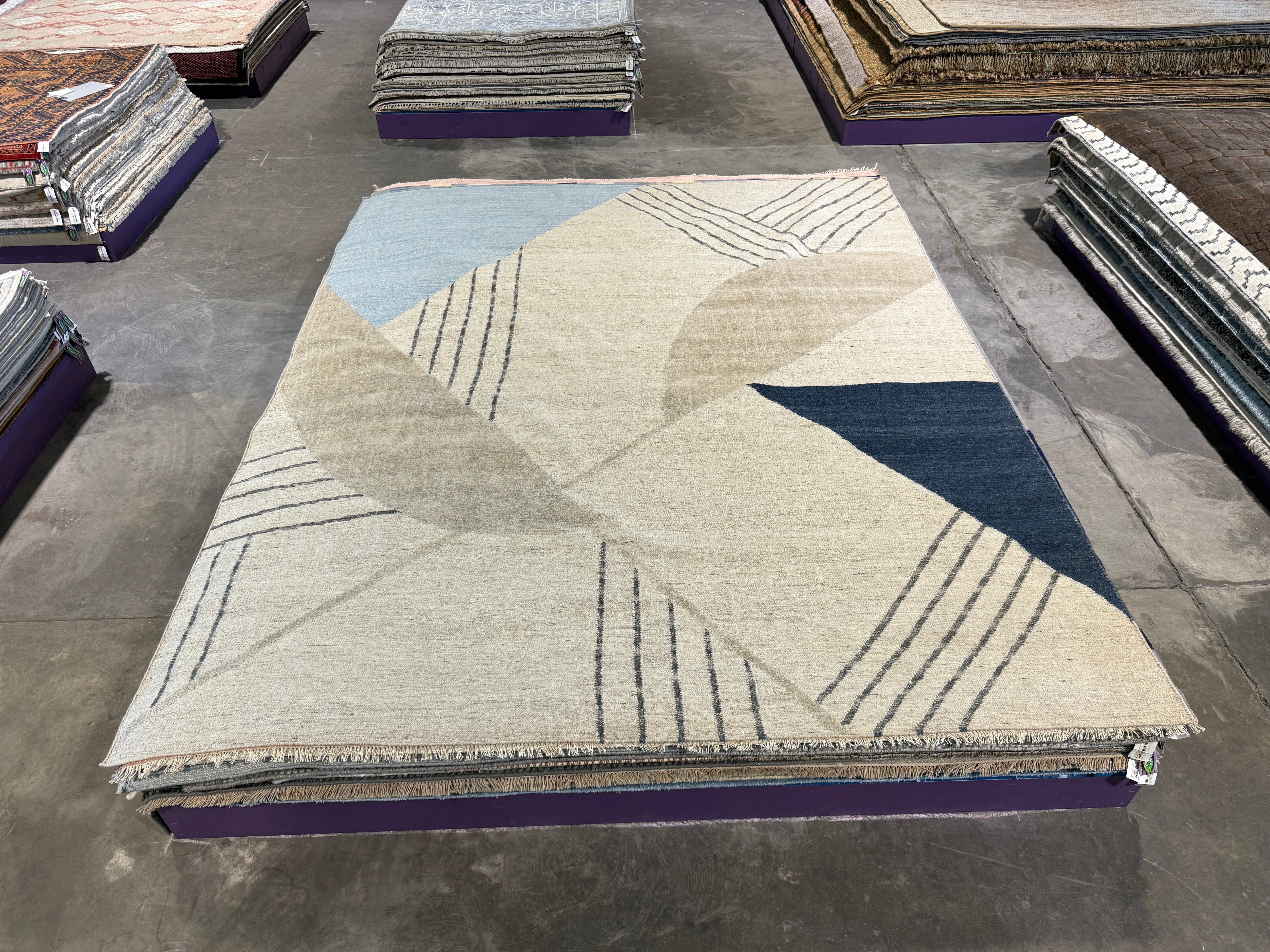 Logan Palmer 9.3x11.3 Tan Handwoven Modern Rug