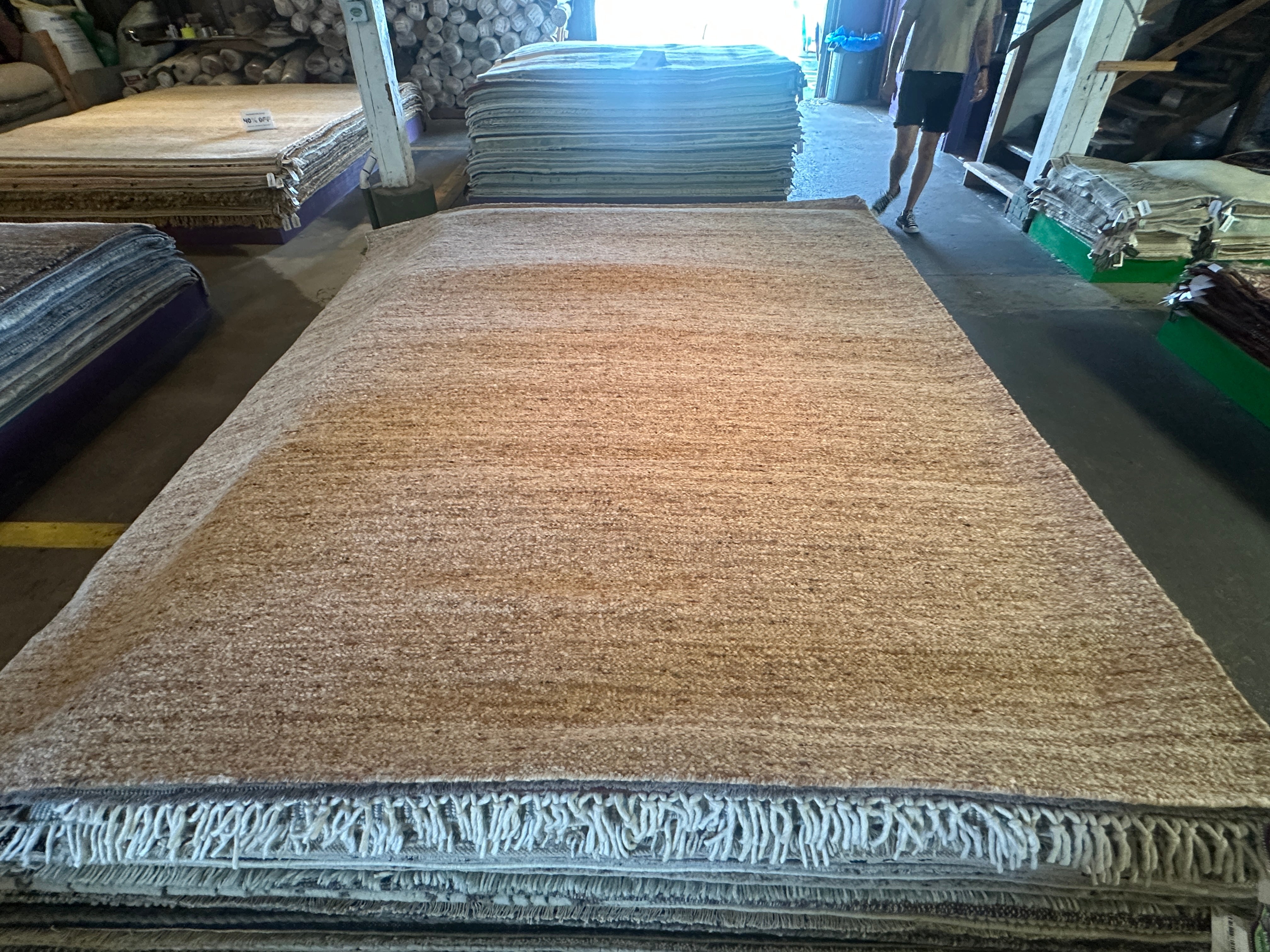 Eddie 8.6x10 Handwoven Textured Modern Beige