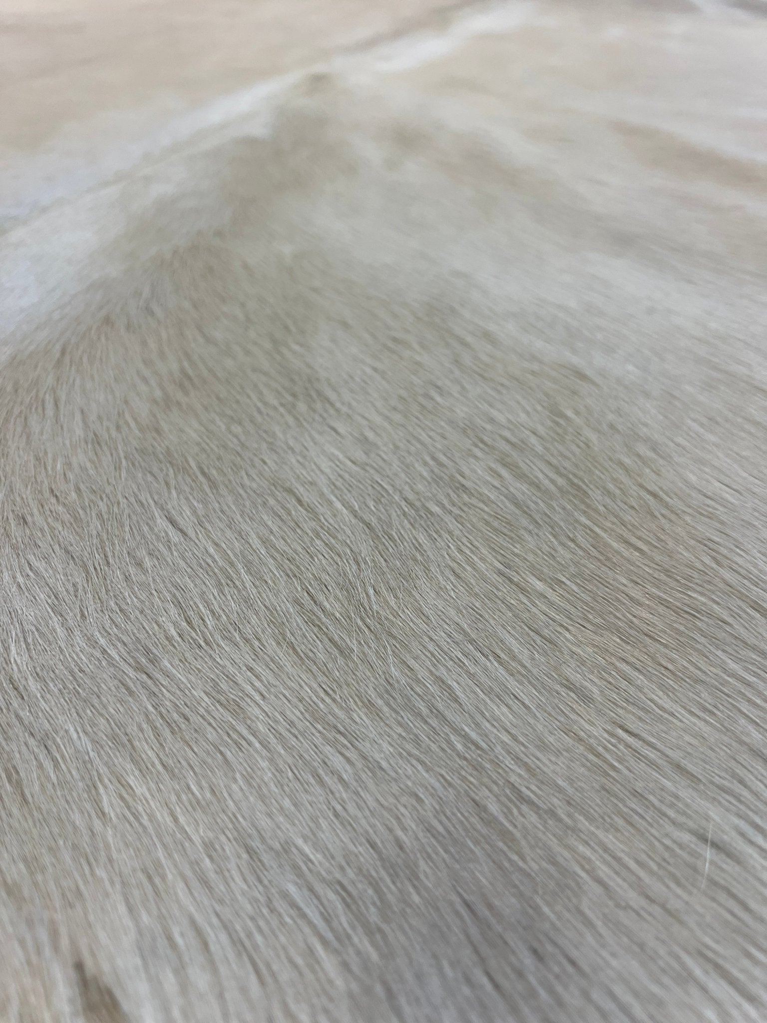 Pure White 6.2x7.5 Medium Cowhide Rug | Banana Manor Rug Factory Outlet