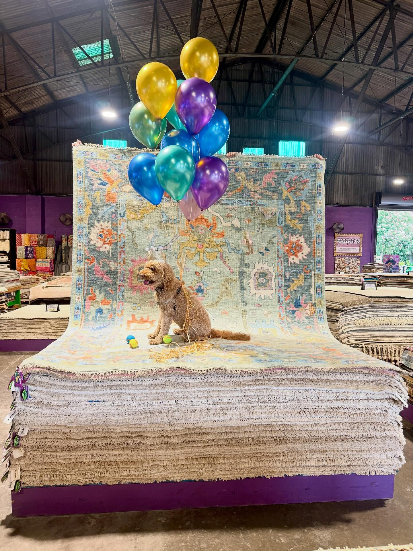 All Rugs In-Stock