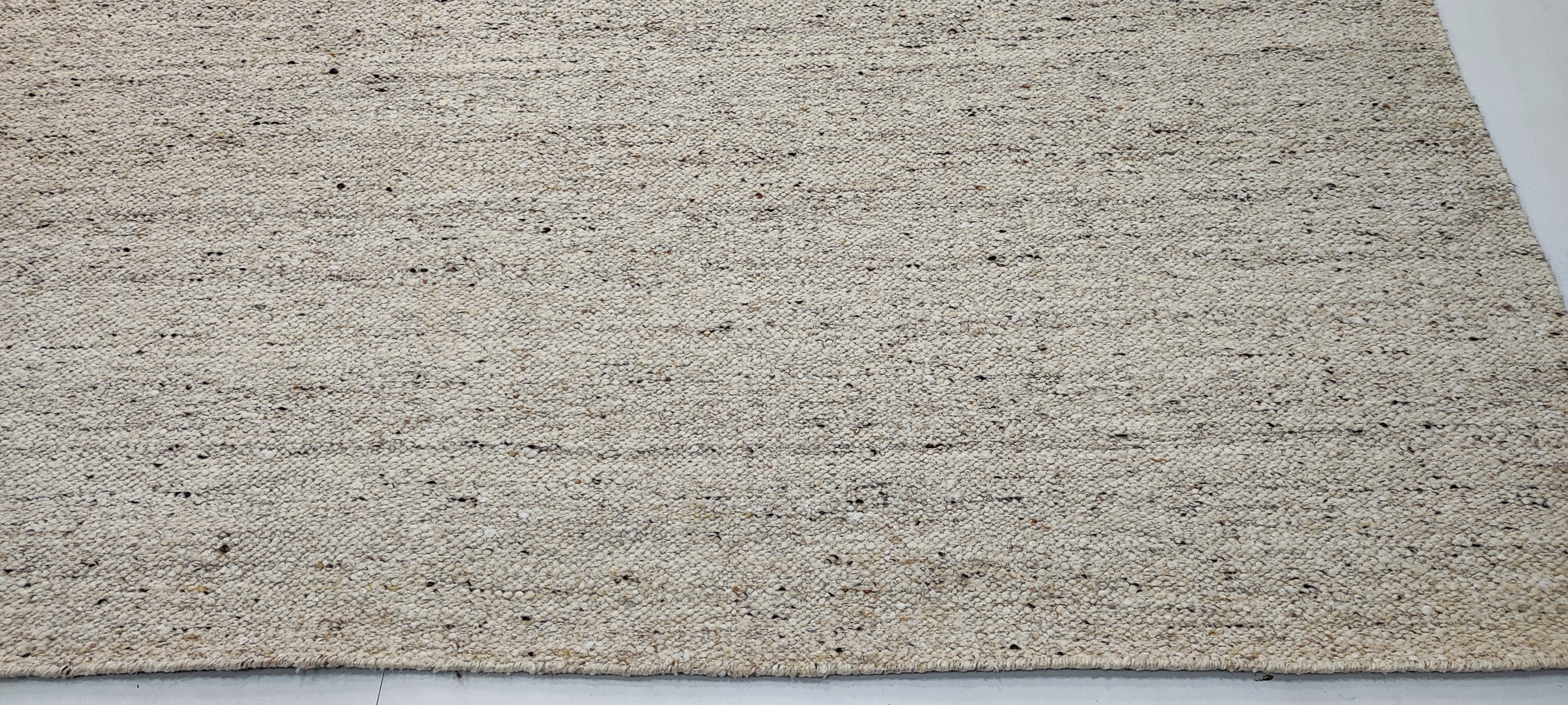 Hinkle 8x10 Hand-Woven Textured Modern Beige