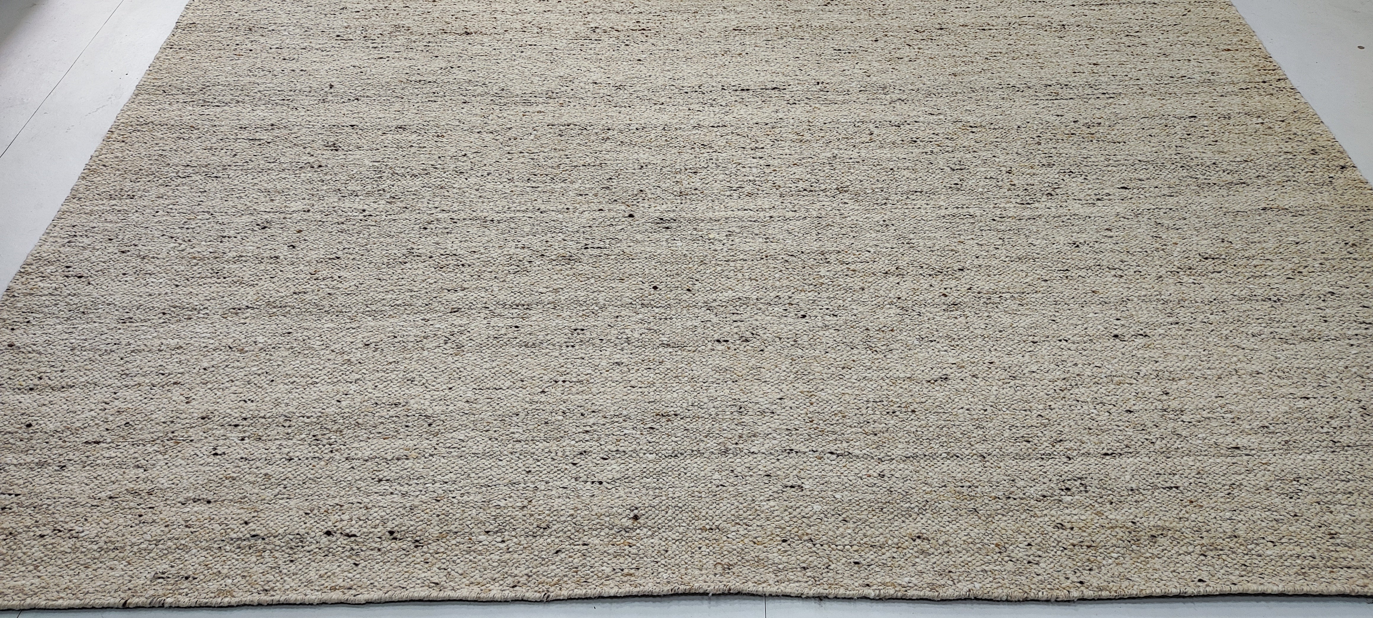 Hinkle 8x10 Hand-Woven Textured Modern Beige