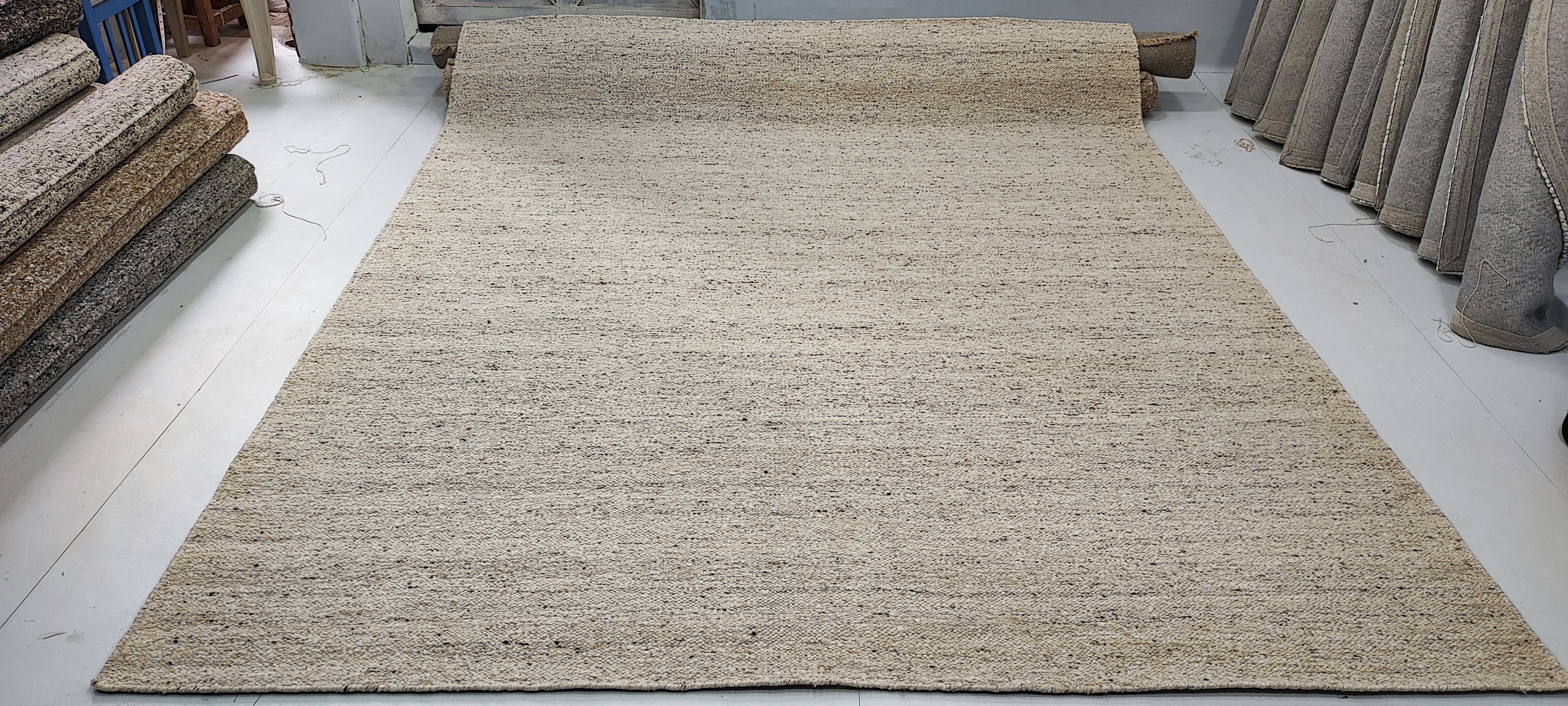 Hinkle 8x10 Hand-Woven Textured Modern Beige