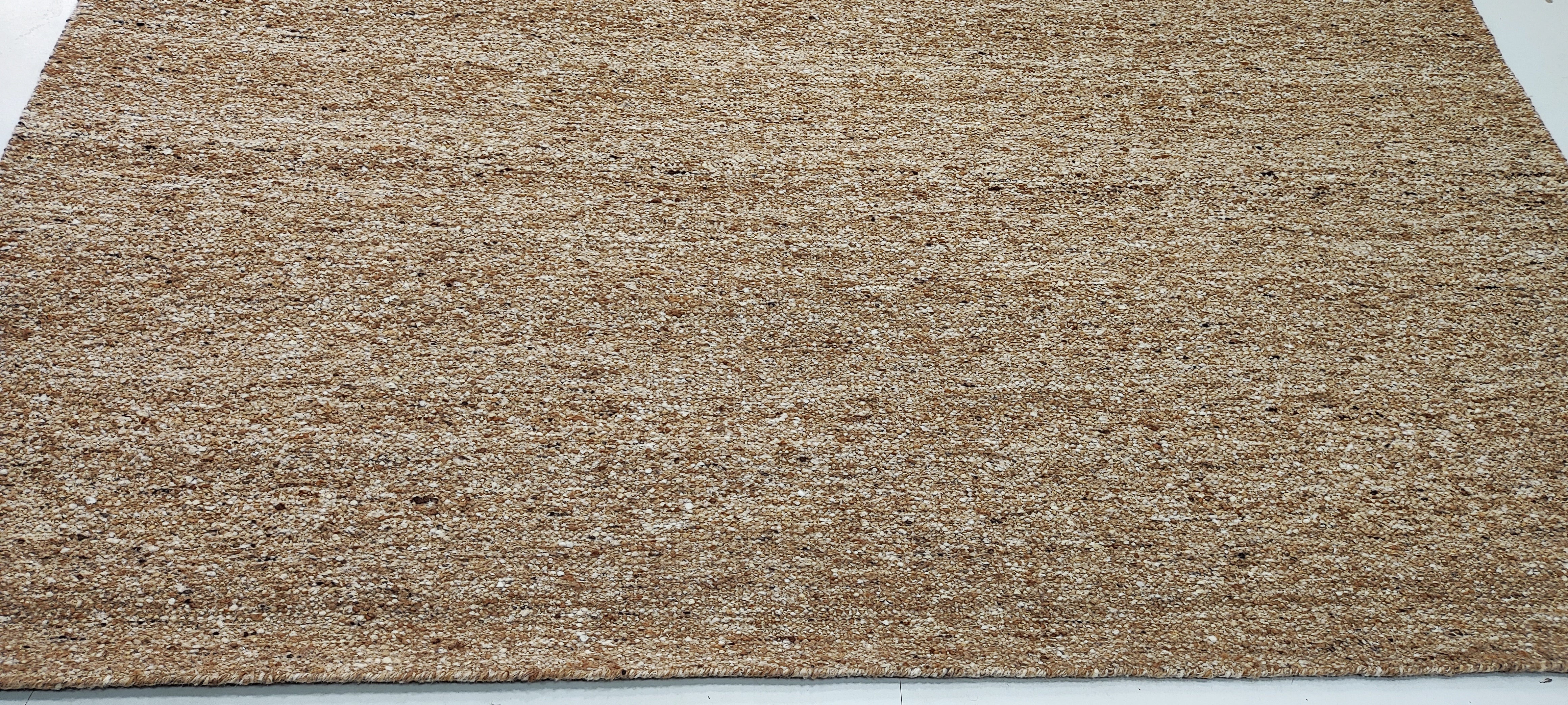 Eddie 8x10 Hand-Woven Textured Modern Beige