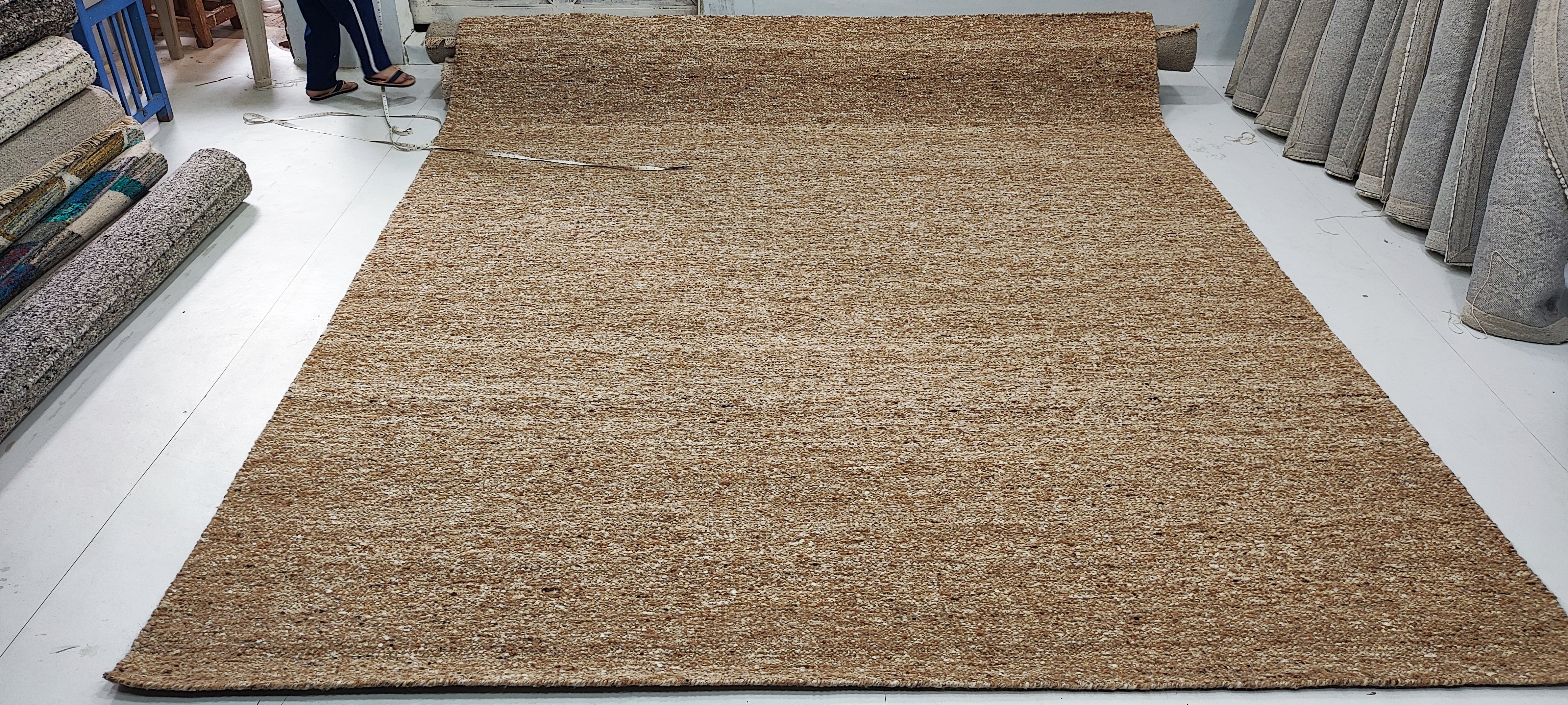 Eddie 8x10 Hand-Woven Textured Modern Beige