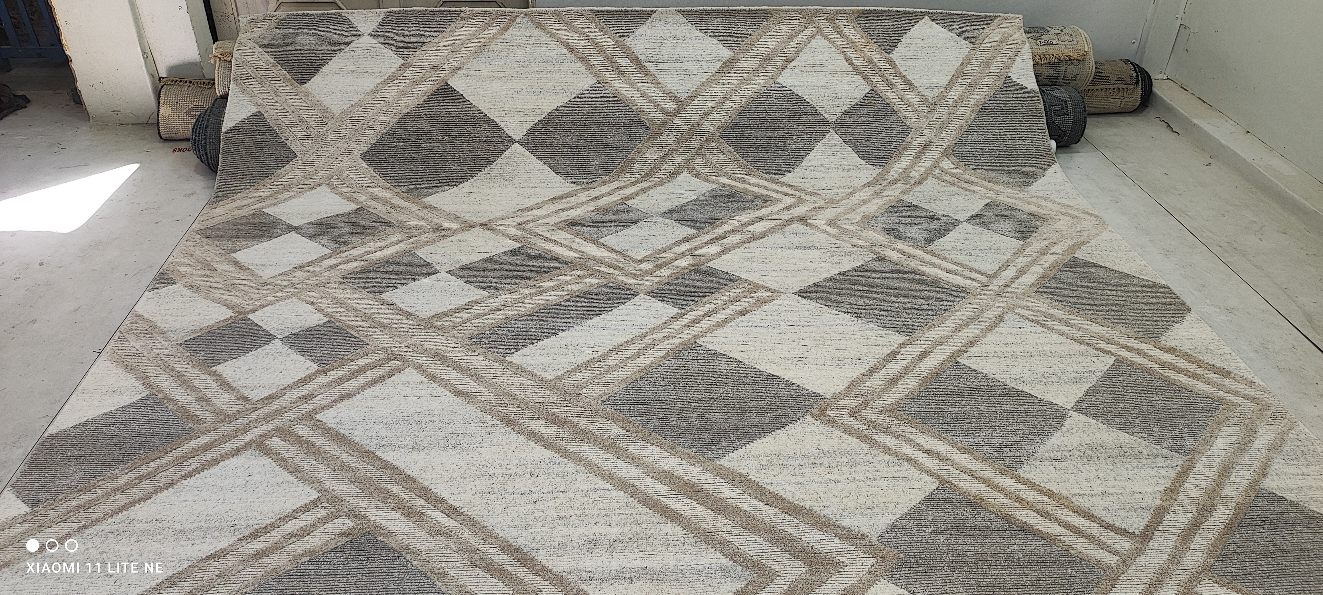 Nico 9x11.9 Hand-Knotted Modern Loop Cut Rug