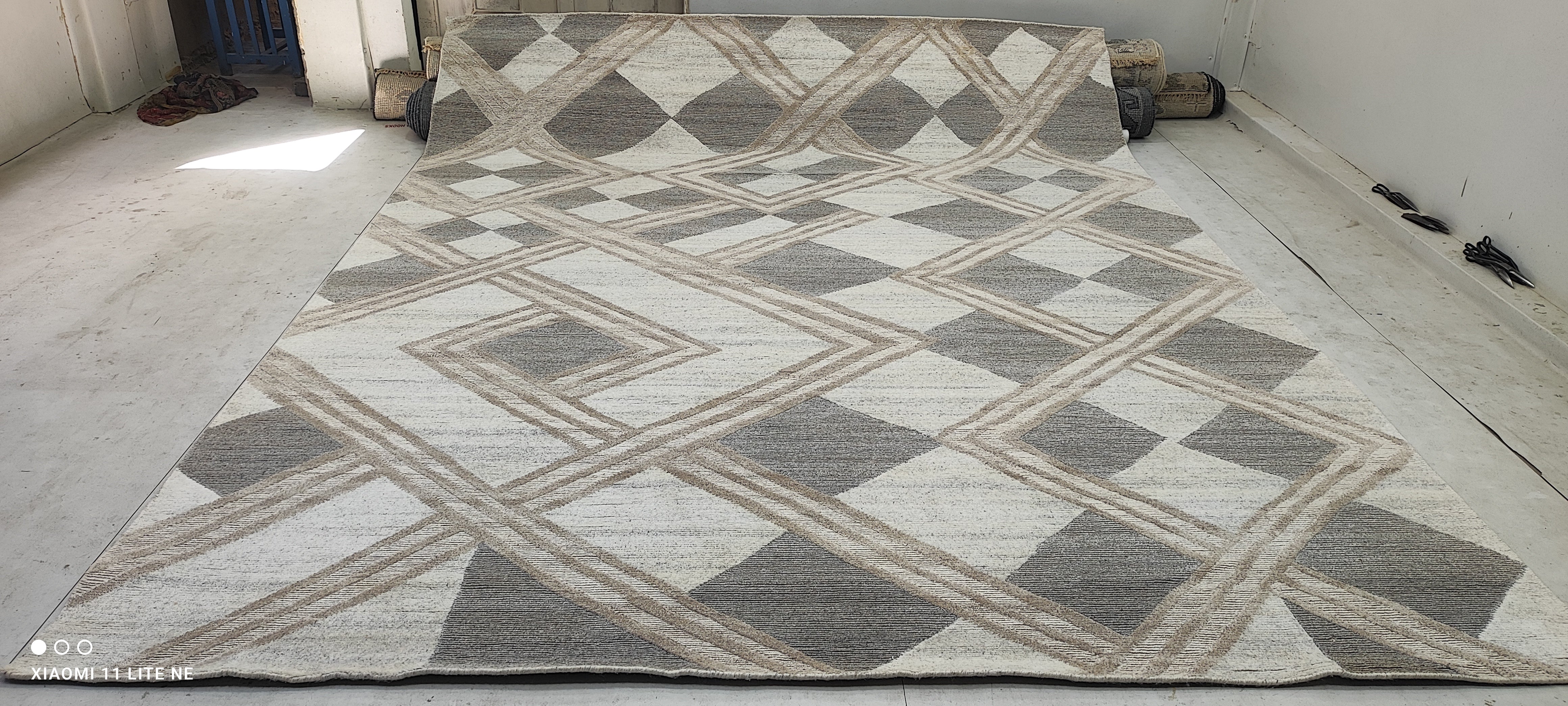 Nico 9x11.9 Hand-Knotted Modern Loop Cut Rug