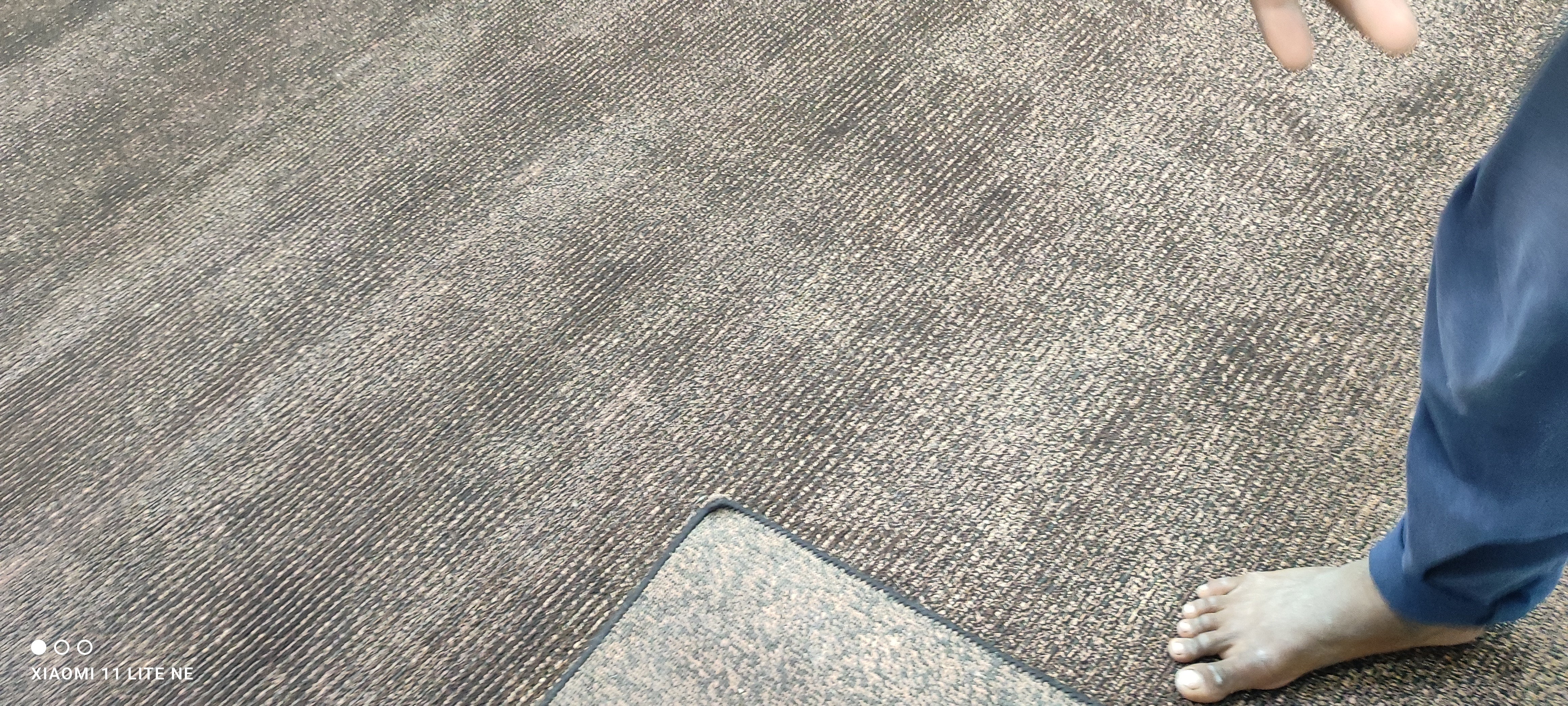 Patrick Gilmore 10x13.9 Brown Hand-Knotted Modern Rug