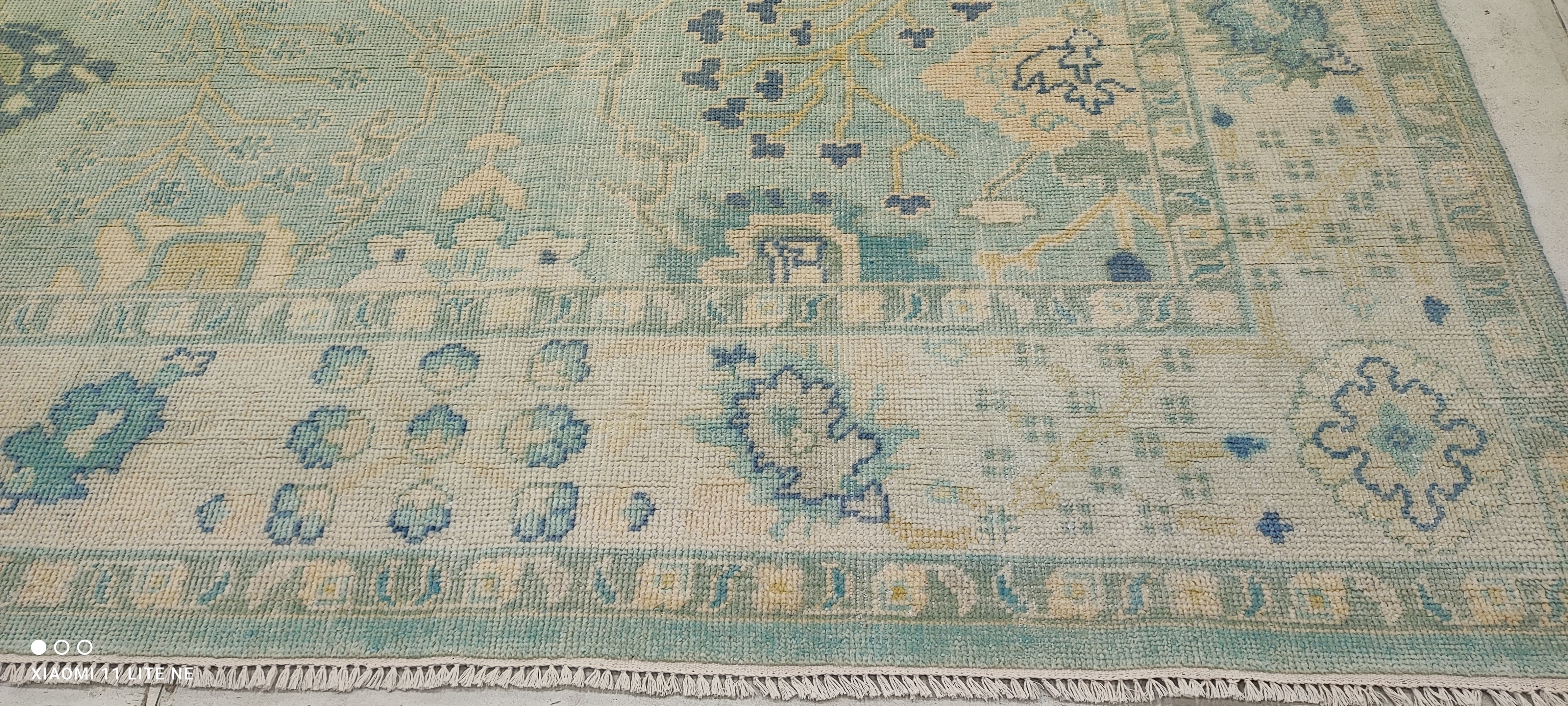 Annie Golden 8x10 Light Blue Hand-Knotted Oushak Rug