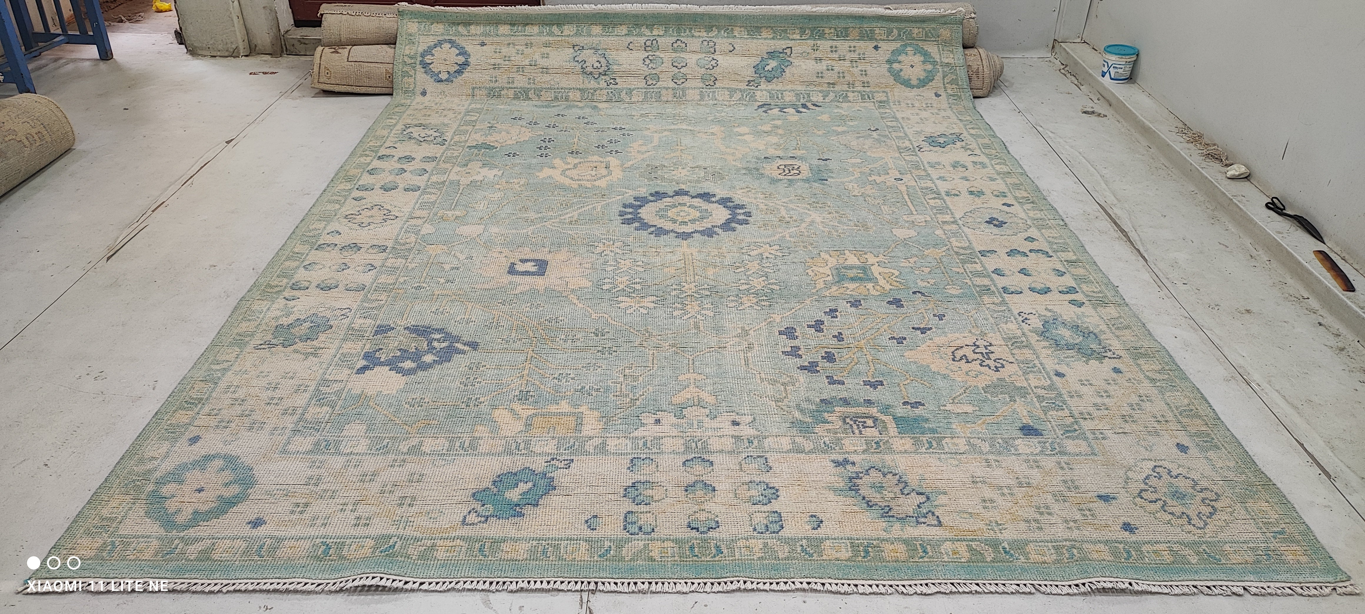 Annie Golden 8x10 Light Blue Hand-Knotted Oushak Rug