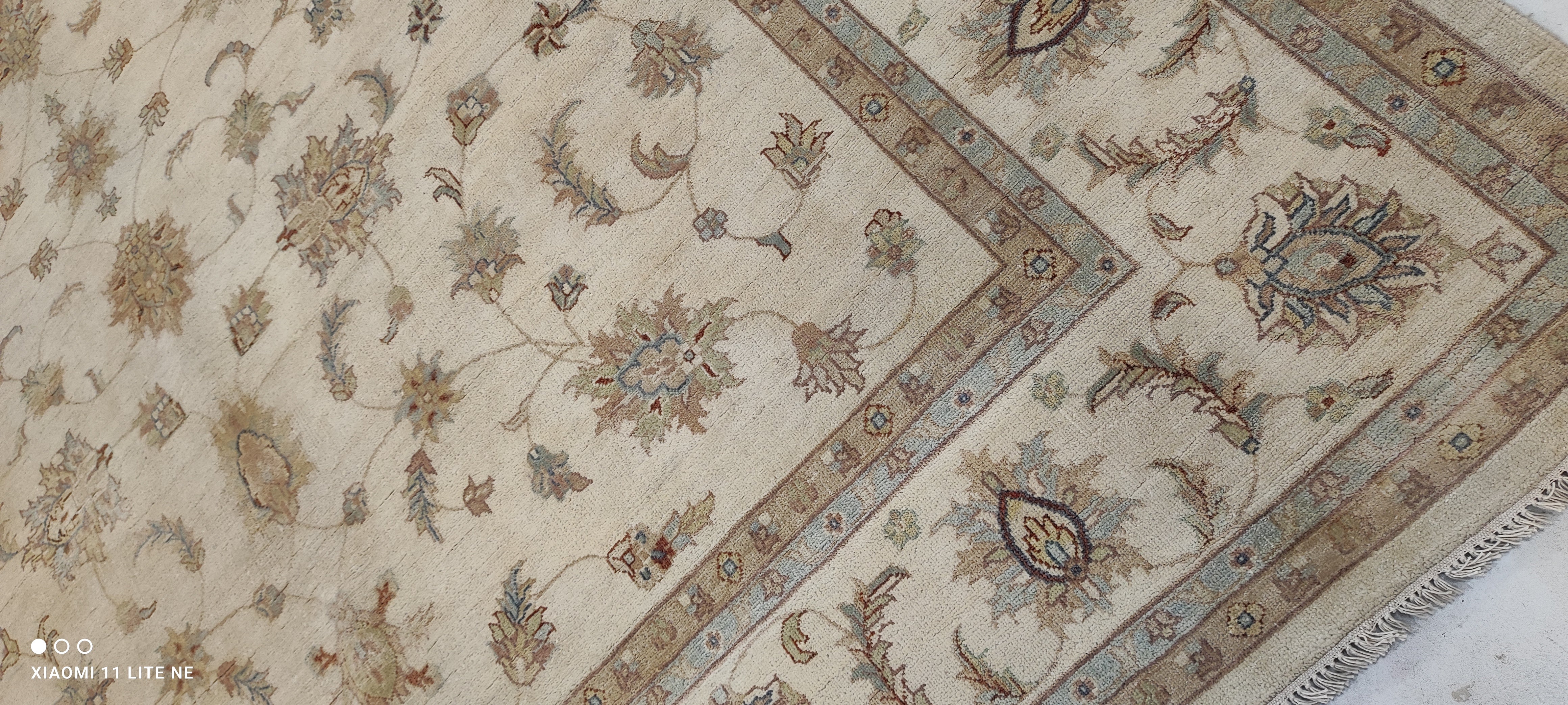Kayli Carter 8x10 Beige Hand-Knotted Kashan Rug