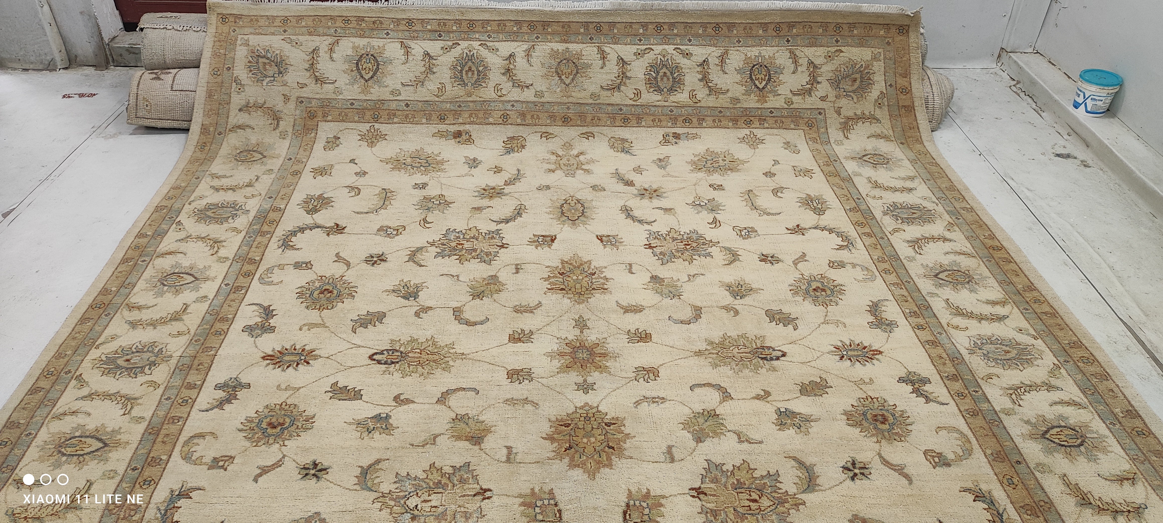Kayli Carter 8x10 Beige Hand-Knotted Kashan Rug