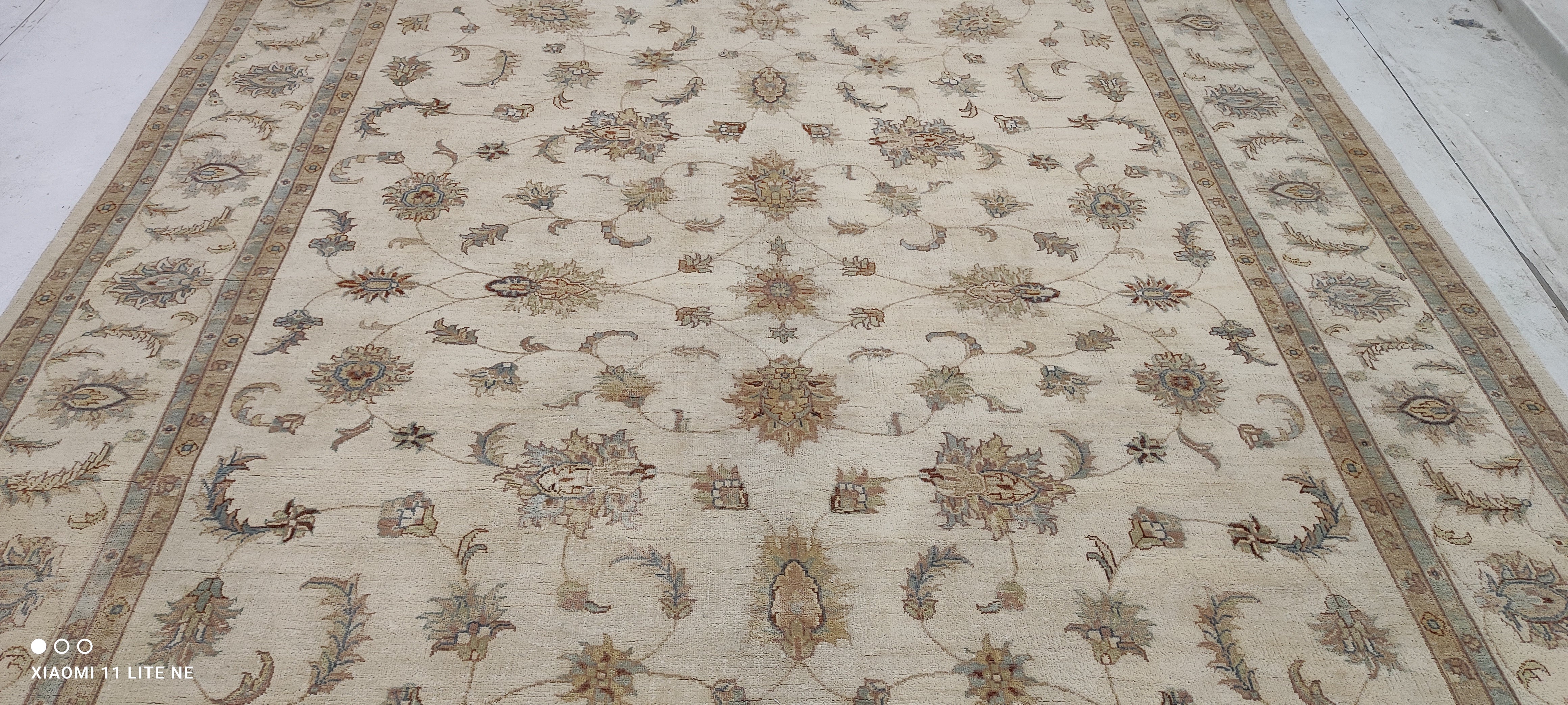 Kayli Carter 8x10 Beige Hand-Knotted Kashan Rug