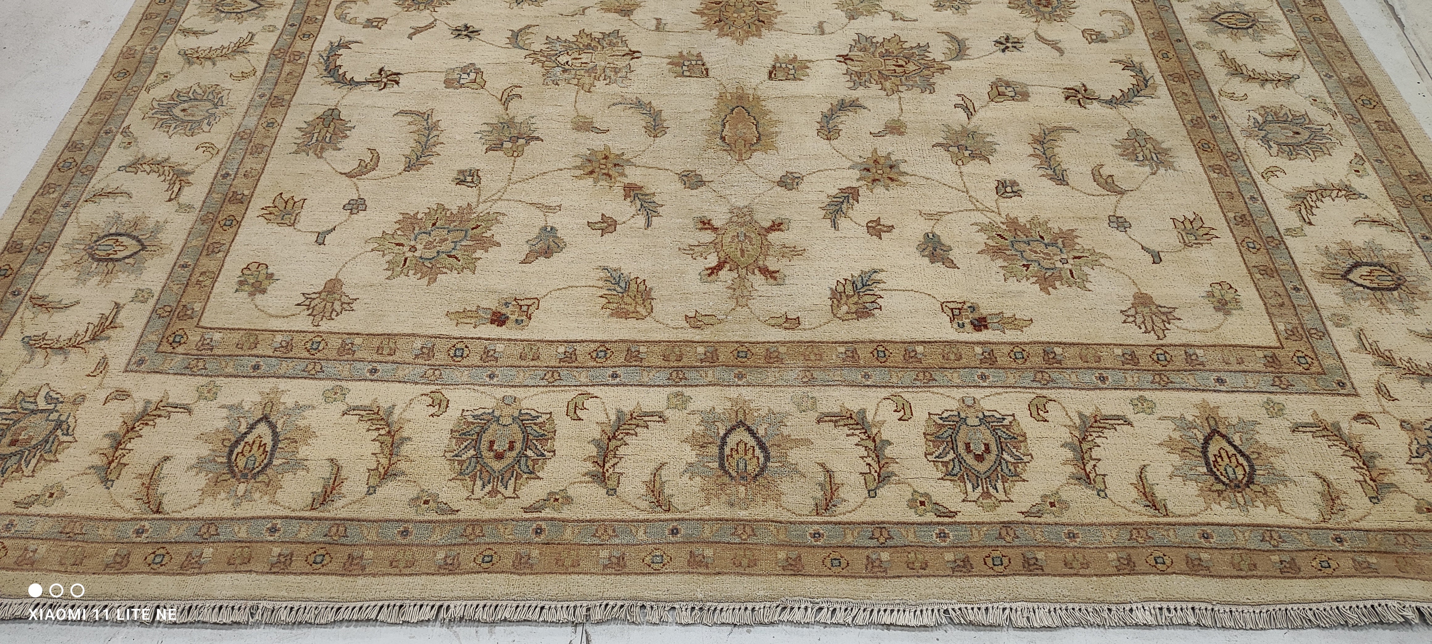 Kayli Carter 8x10 Beige Hand-Knotted Kashan Rug