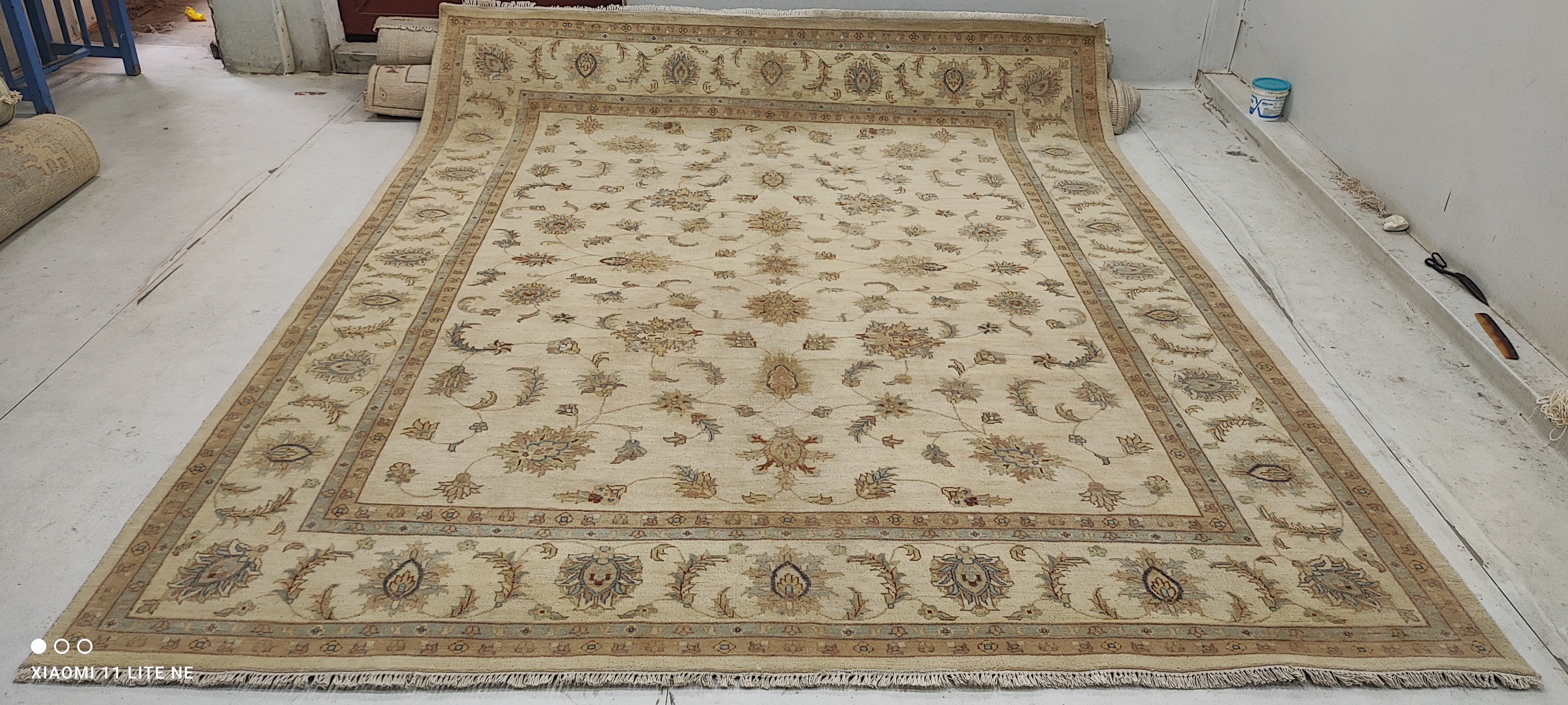 Kayli Carter 8x10 Beige Hand-Knotted Kashan Rug