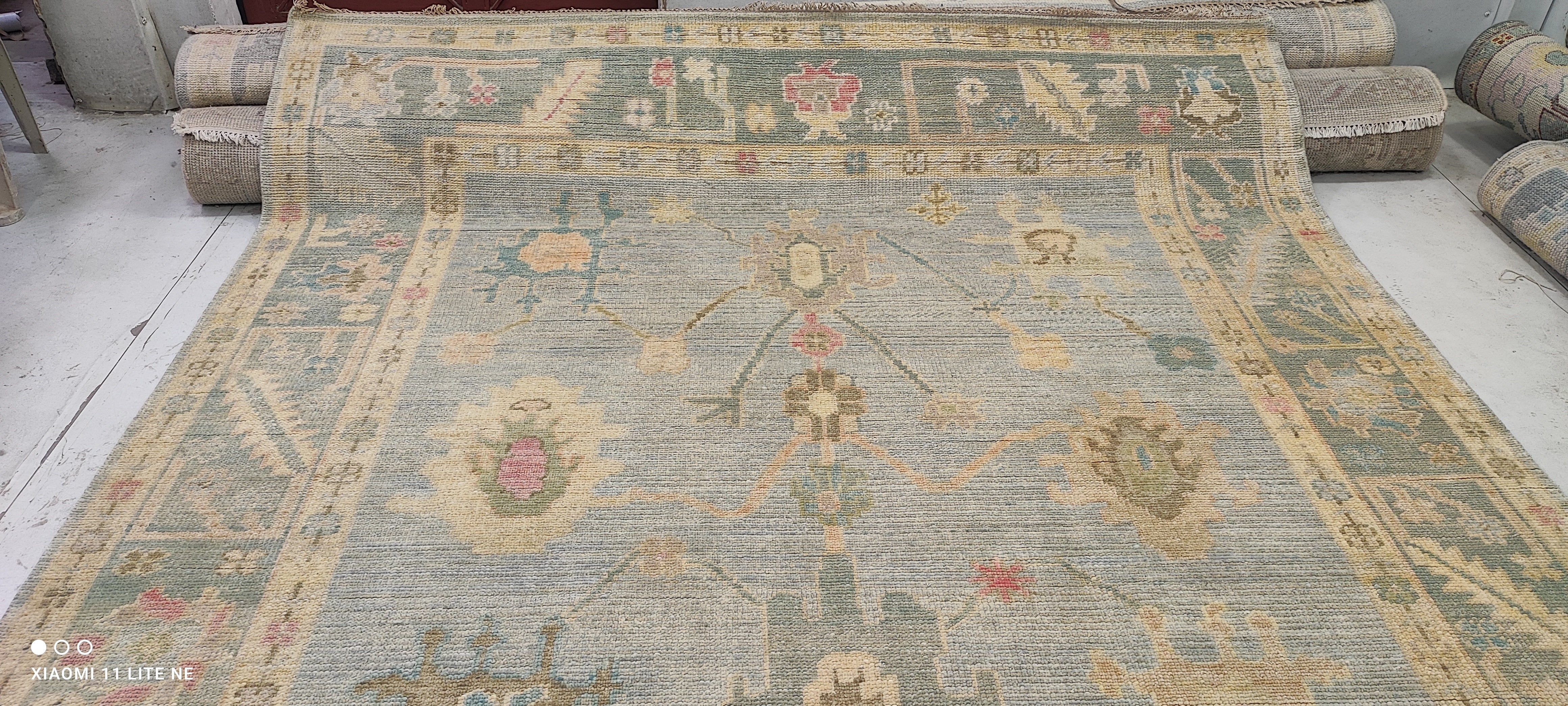 Gitta Robinson 9x12 Multi Color Hand-Knotted Oushak Rug