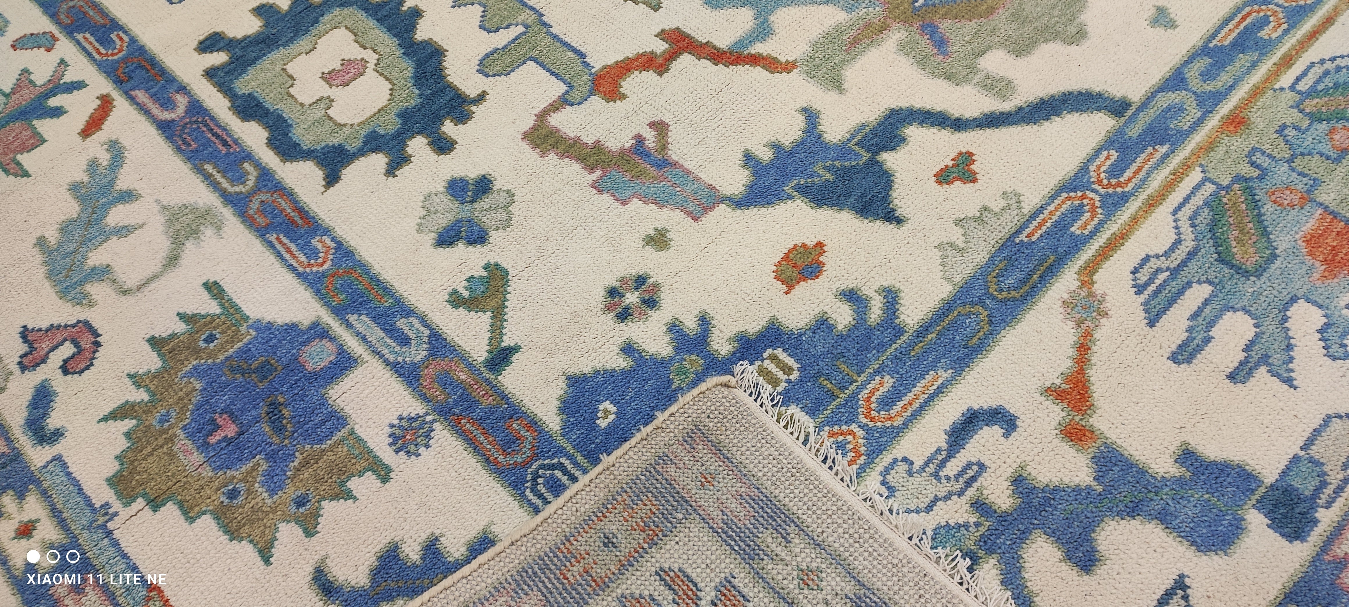 Aaliyah Butler 8x10 Multi Color Hand-Knotted Oushak Rug