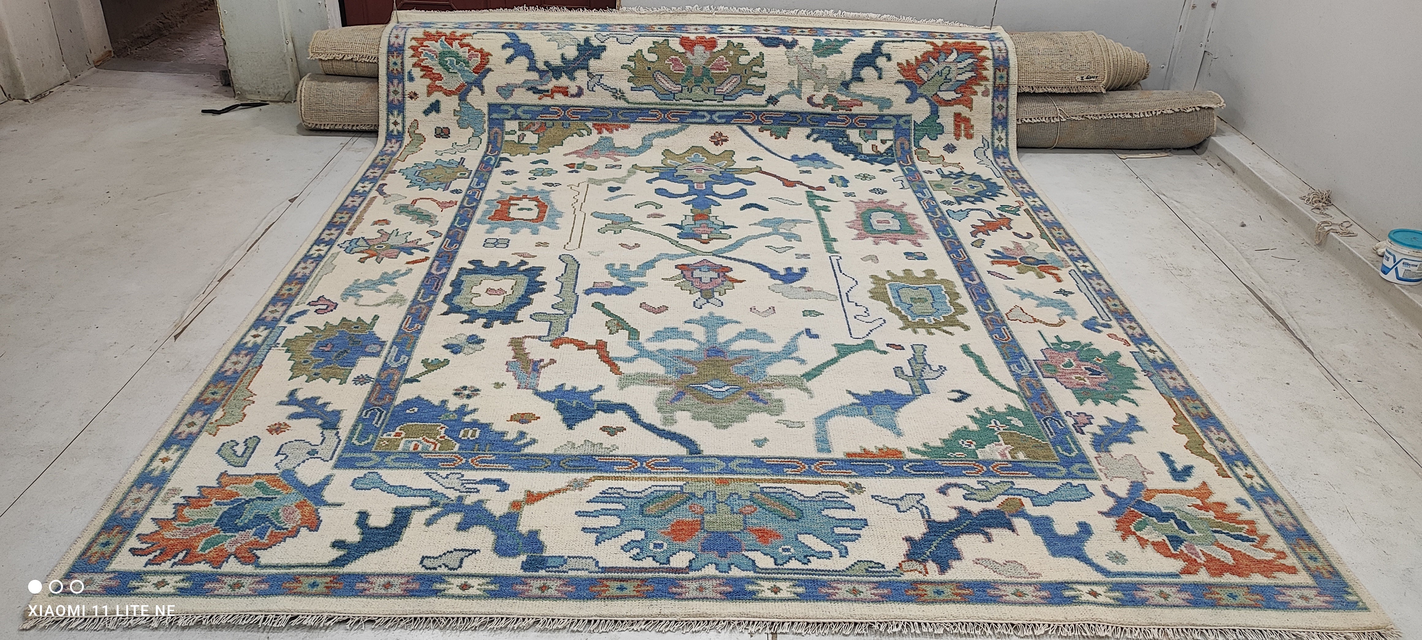 Aaliyah Butler 8x10 Multi Color Hand-Knotted Oushak Rug
