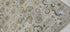Matthew Jeffers 8x10 Grey Hand-Knotted Modern Style Rug