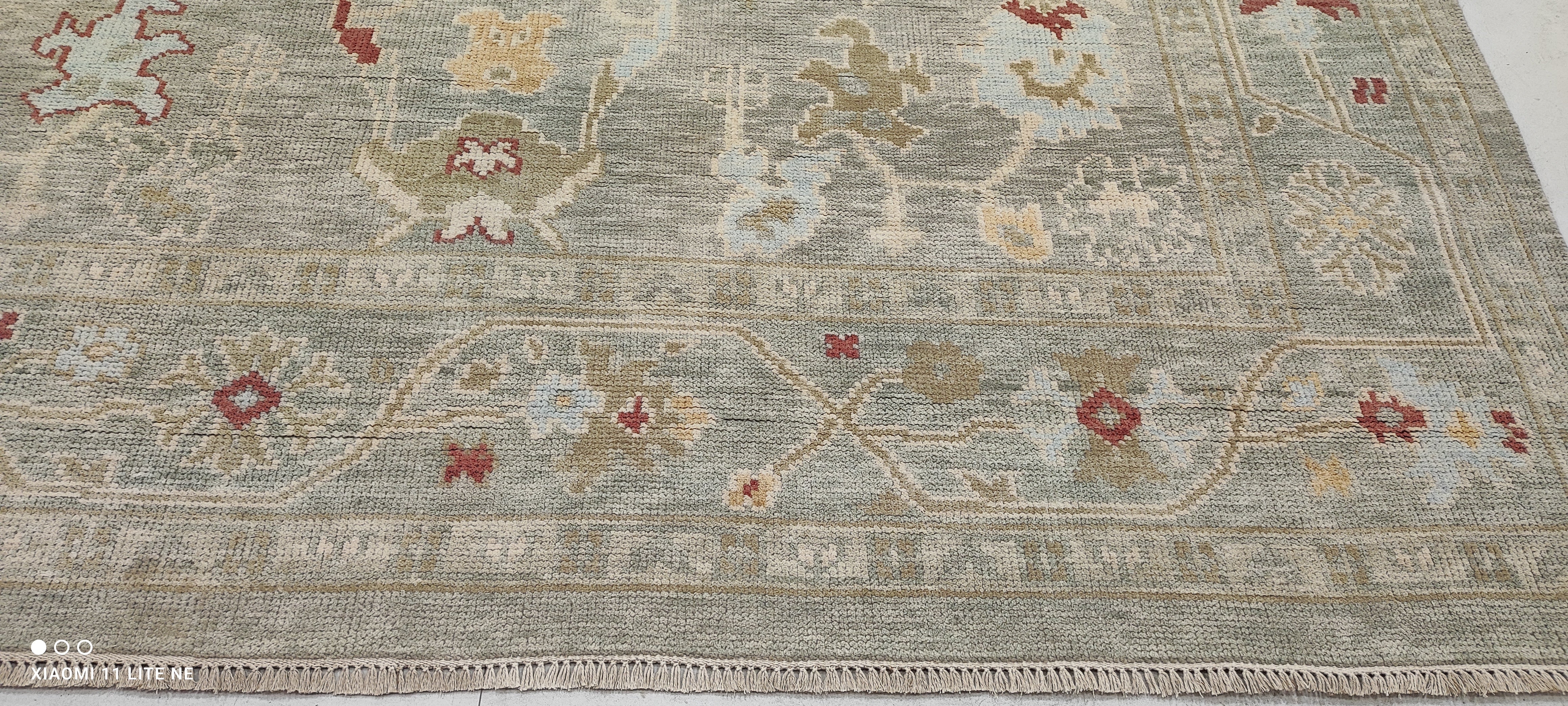 Lilin Lace 8.9x12.3 Light Green Hand-Knotted Oushak Rug