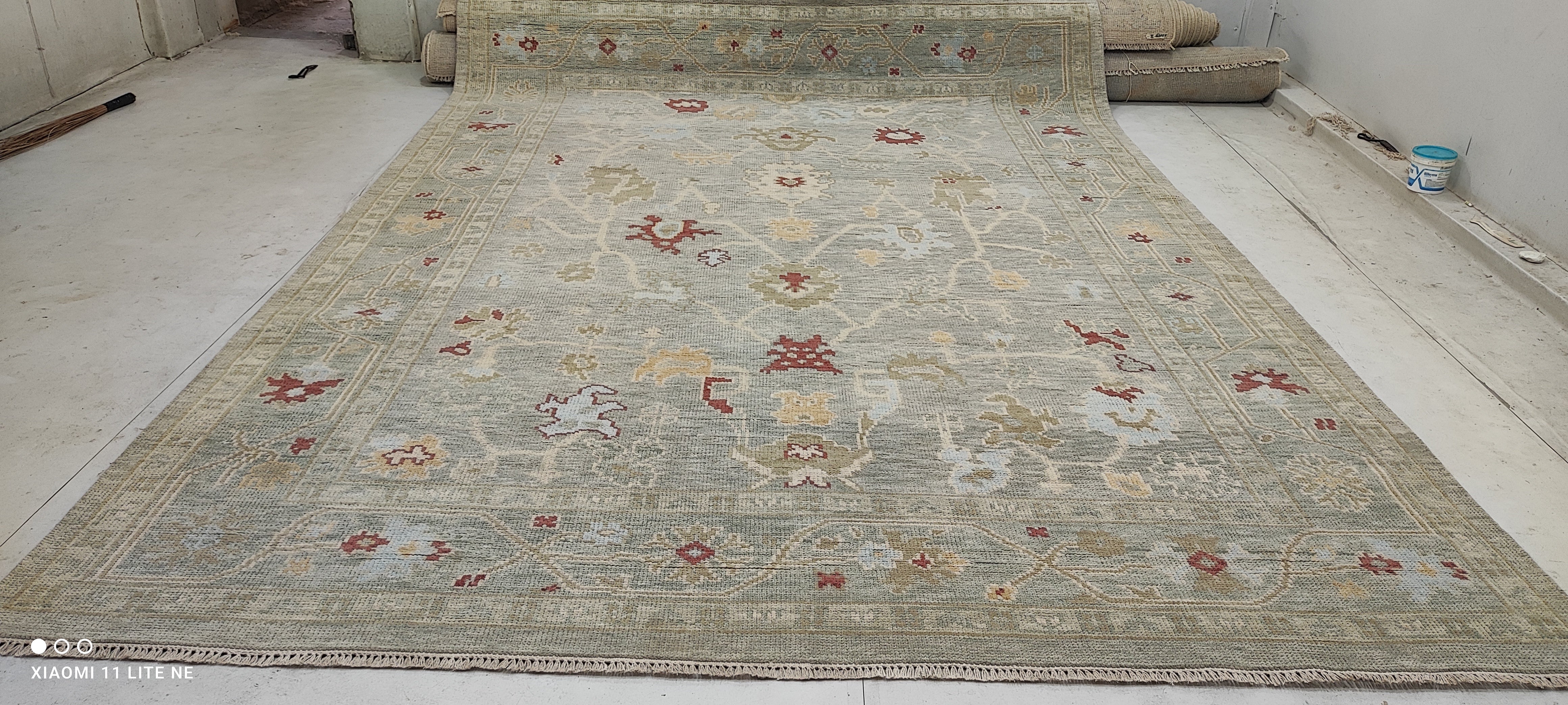Lilin Lace 8.9x12.3 Light Green Hand-Knotted Oushak Rug