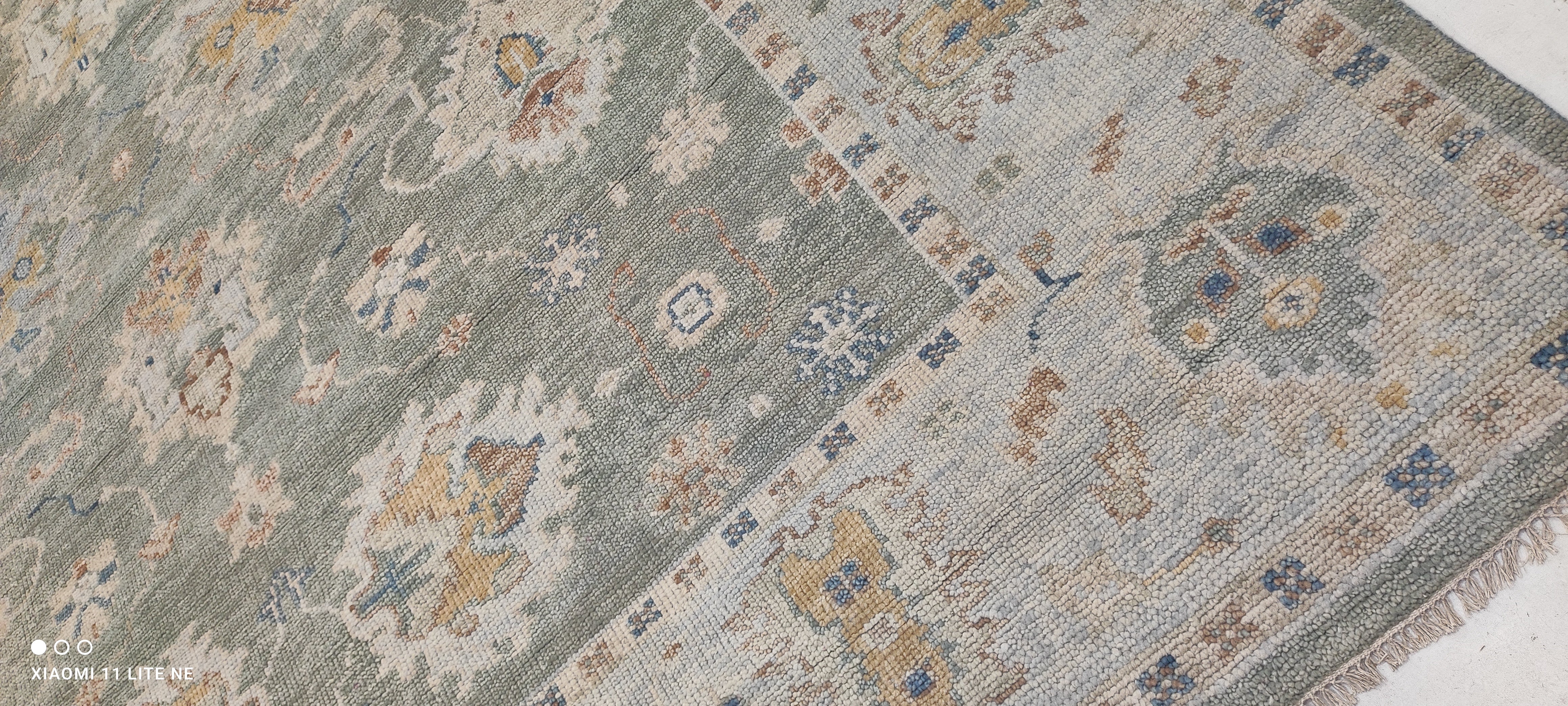 Ariel Ash 9x11.9 Light Green Hand-Knotted Oushak Rug