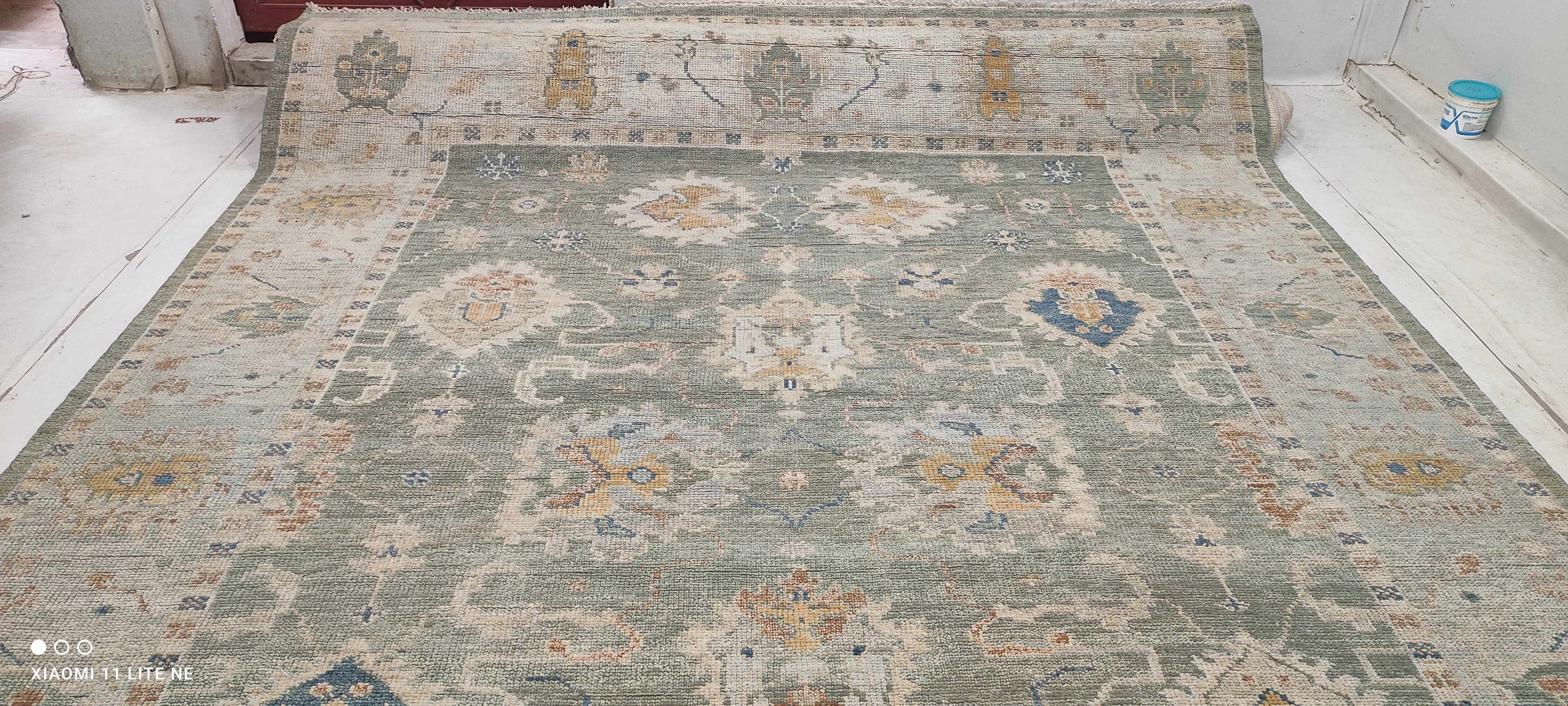 Ariel Ash 9x11.9 Light Green Hand-Knotted Oushak Rug
