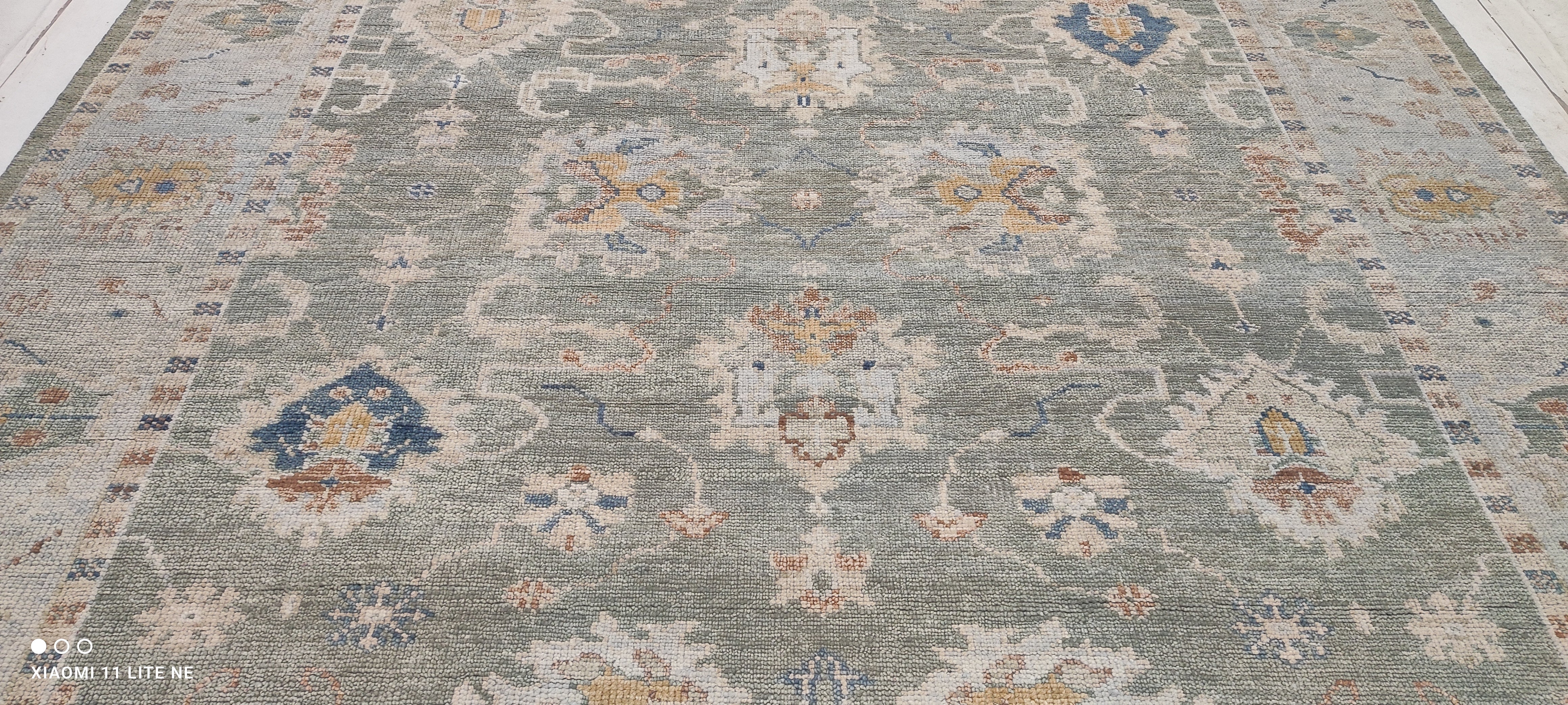 Ariel Ash 9x11.9 Light Green Hand-Knotted Oushak Rug