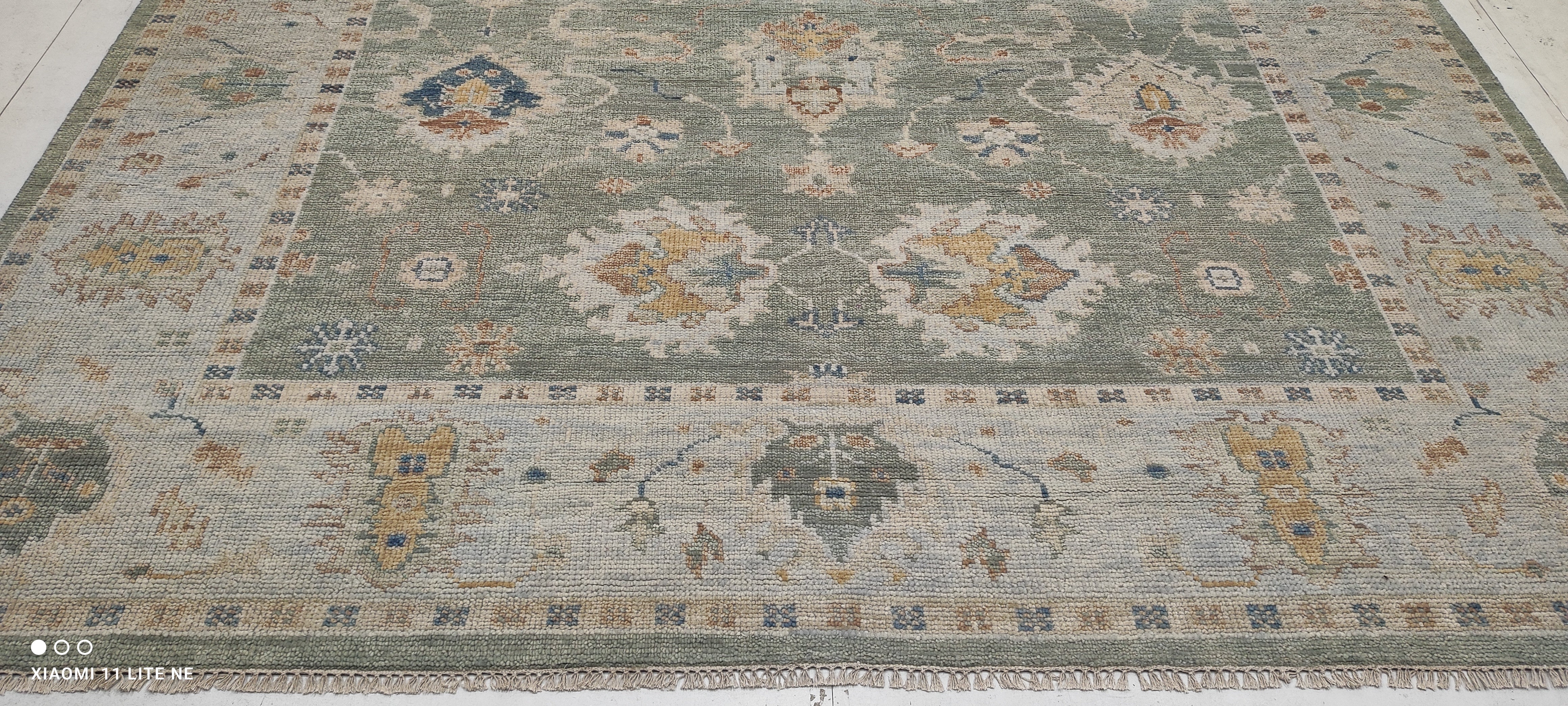 Ariel Ash 9x11.9 Light Green Hand-Knotted Oushak Rug