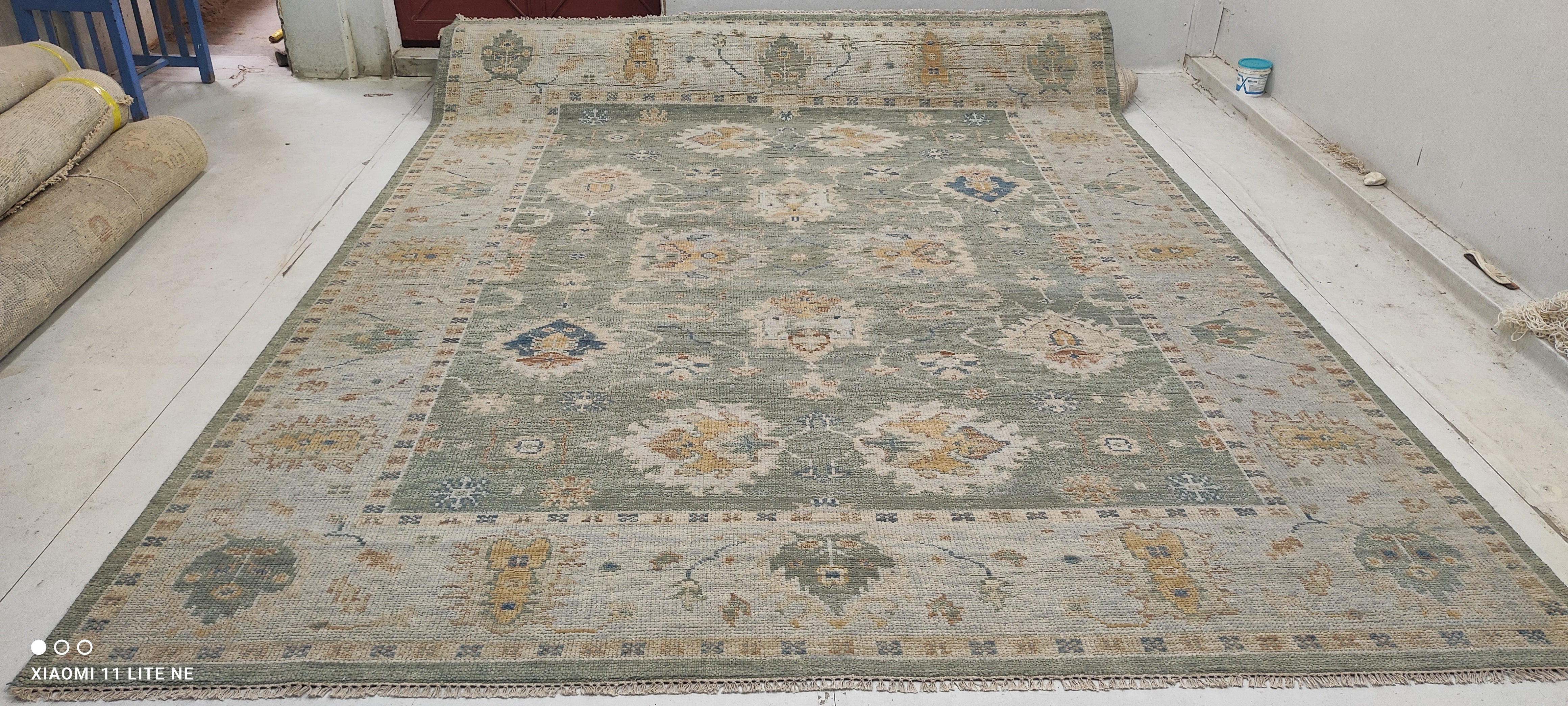 Ariel Ash 9x11.9 Light Green Hand-Knotted Oushak Rug