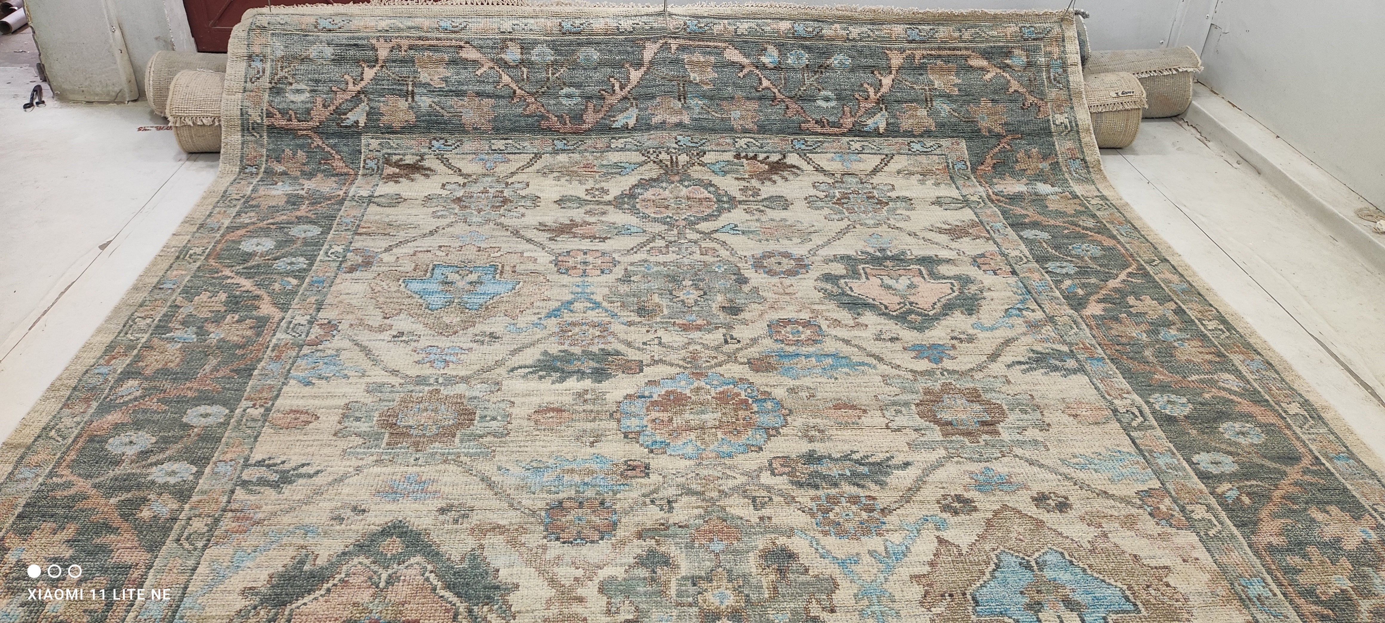 Erika Dawn Smith 9x12 Multi Color Hand-Knotted Oushak Rug