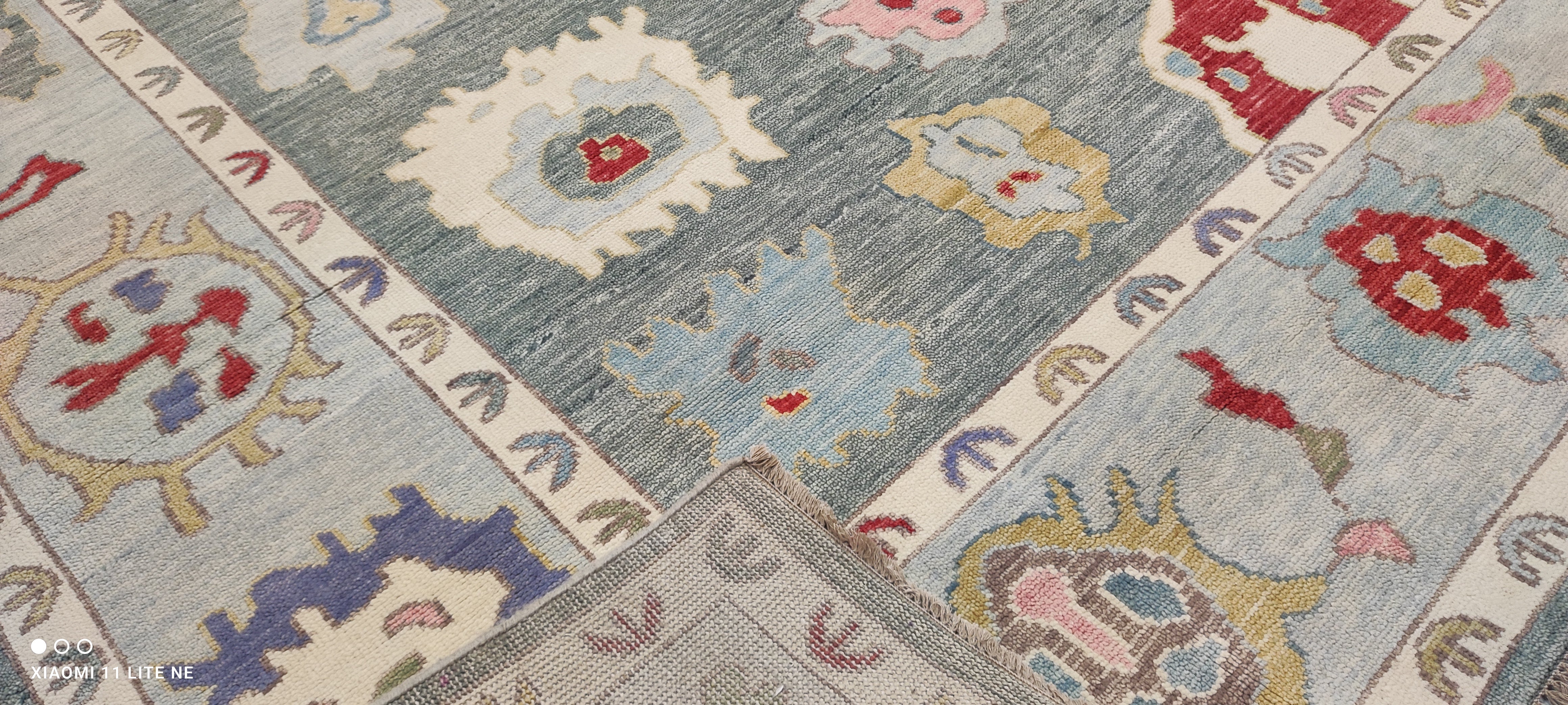 Sarah Victoria Mathieu 9x12 Multi Color Hand-Knotted Oushak Rug