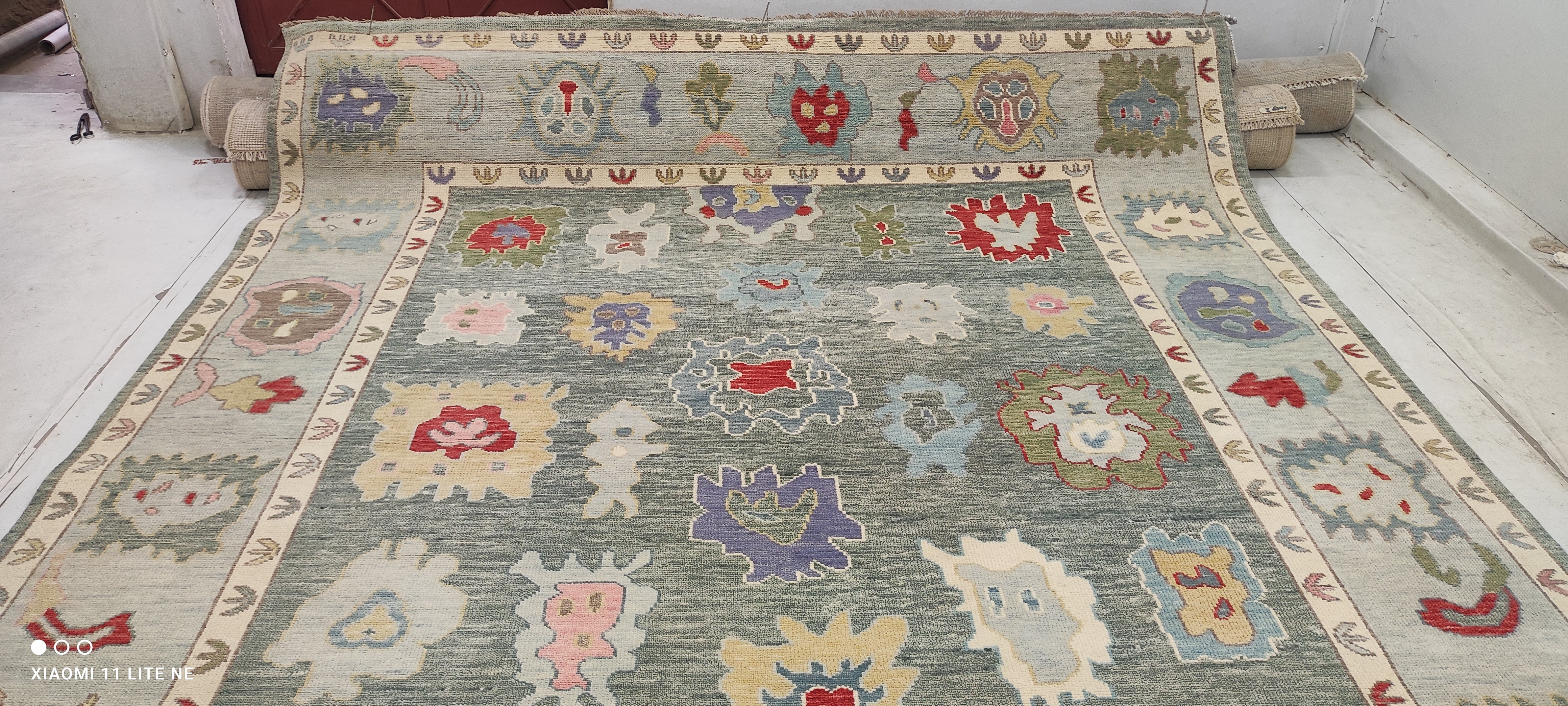 Sarah Victoria Mathieu 9x12 Multi Color Hand-Knotted Oushak Rug