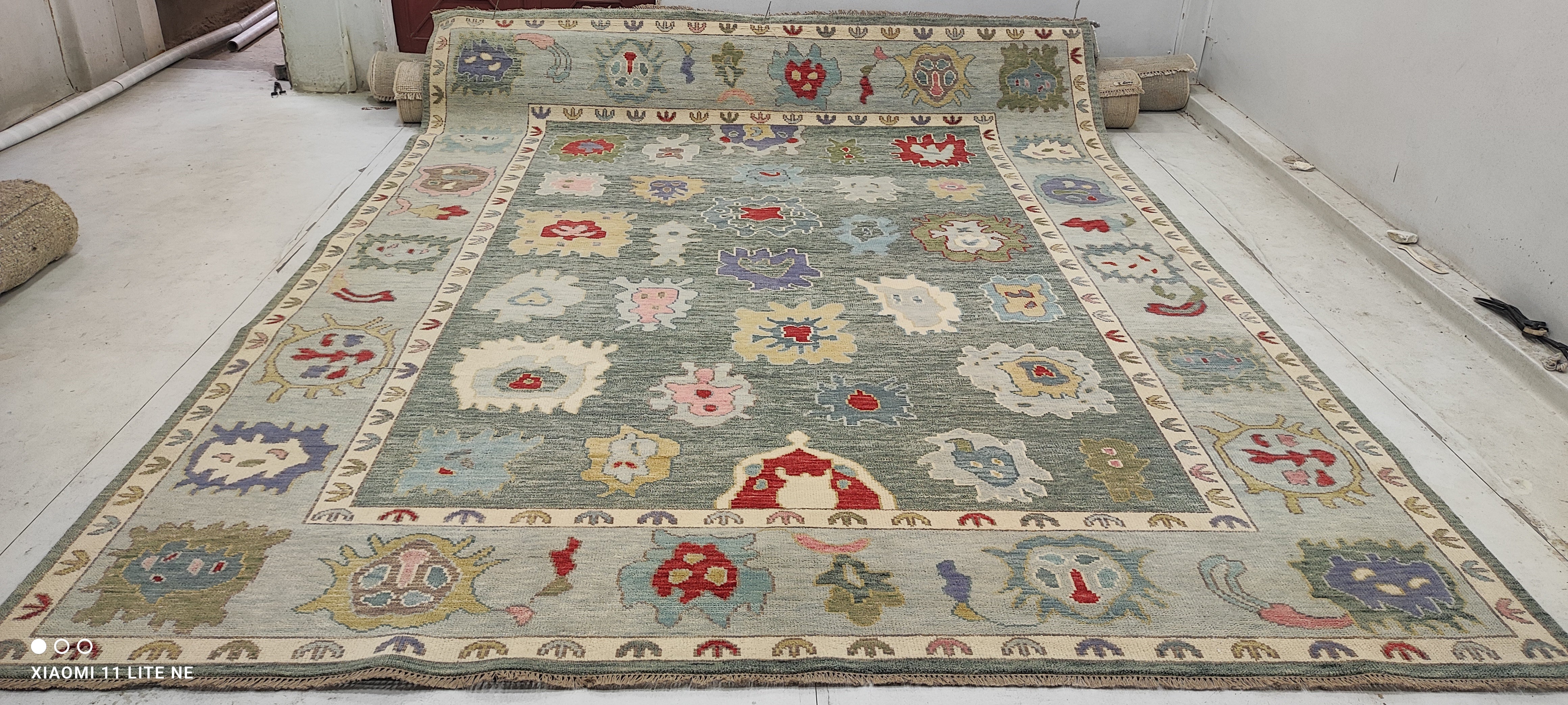Sarah Victoria Mathieu 9x12 Multi Color Hand-Knotted Oushak Rug