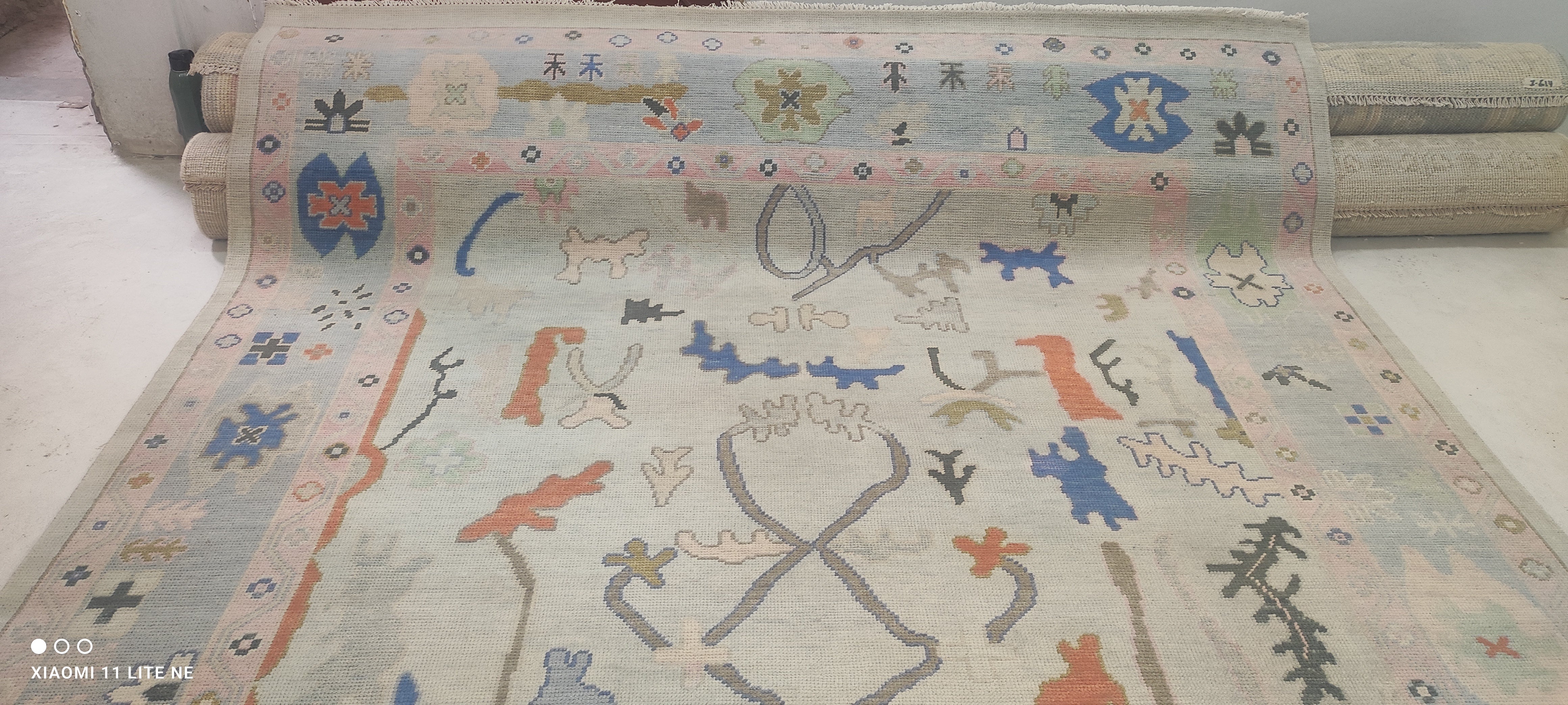 Kathryn Bach 8x10 Multi Color Hand-Knotted Oushak Rug