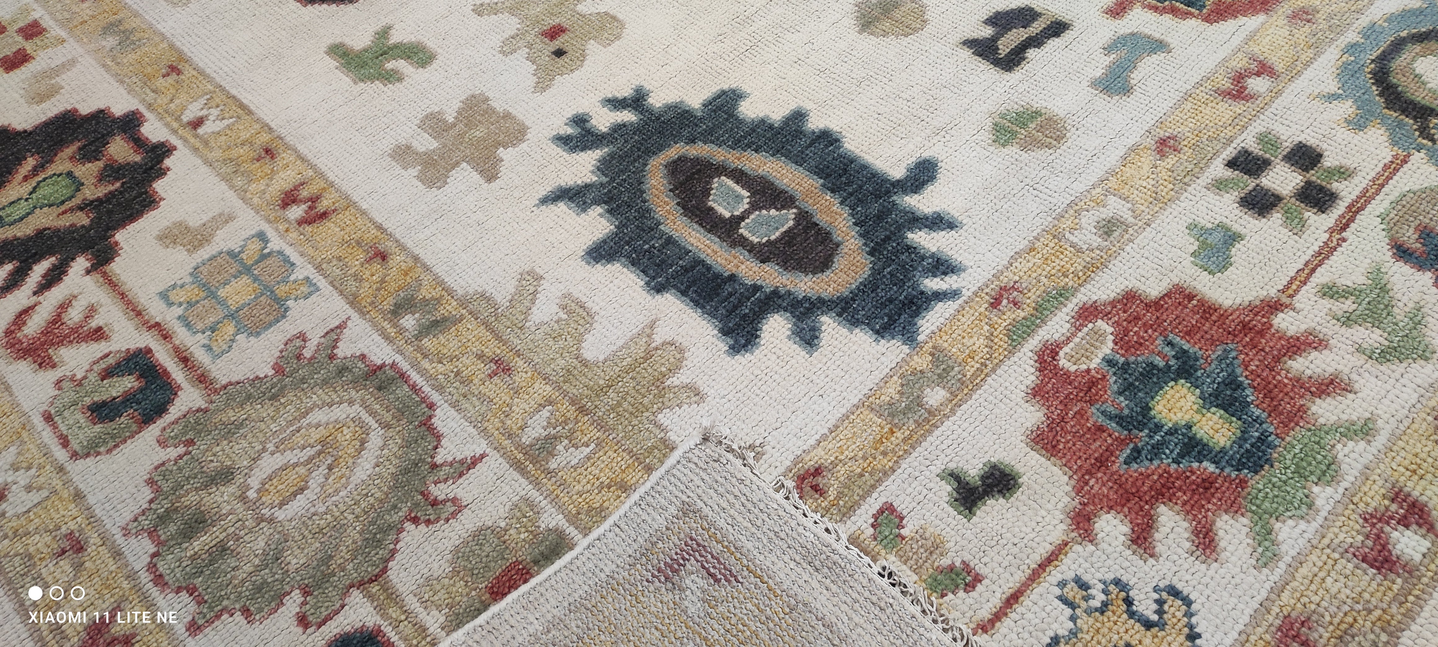 Susie 10x14 Multi Color Hand-Knotted Oushak Rug