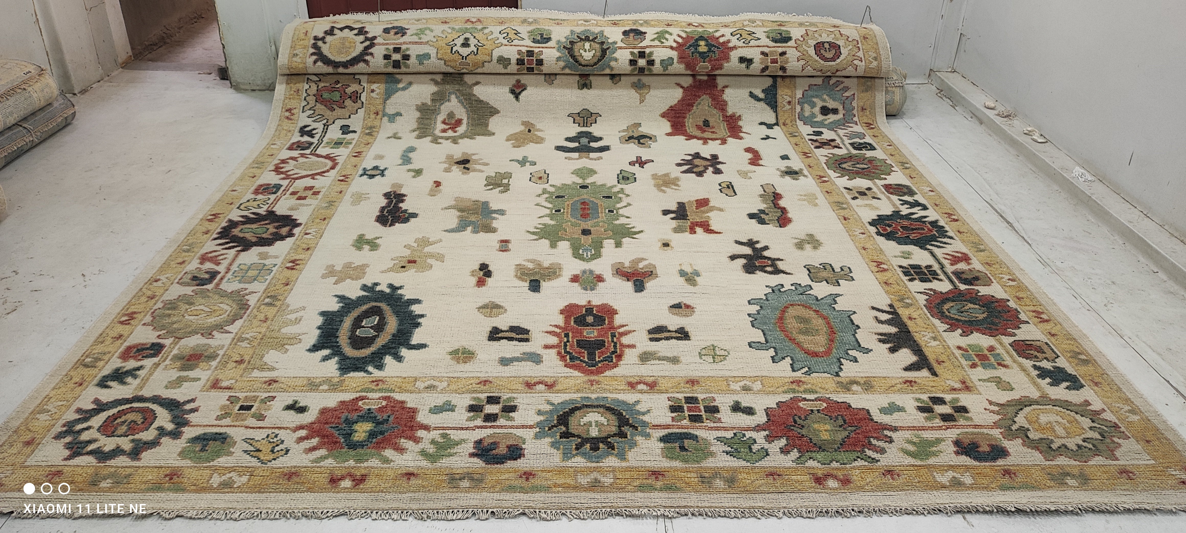 Susie 10x14 Multi Color Hand-Knotted Oushak Rug