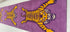 El Tigre 2.6x12 Runner Hand-Tufted Runner (Two Styles)