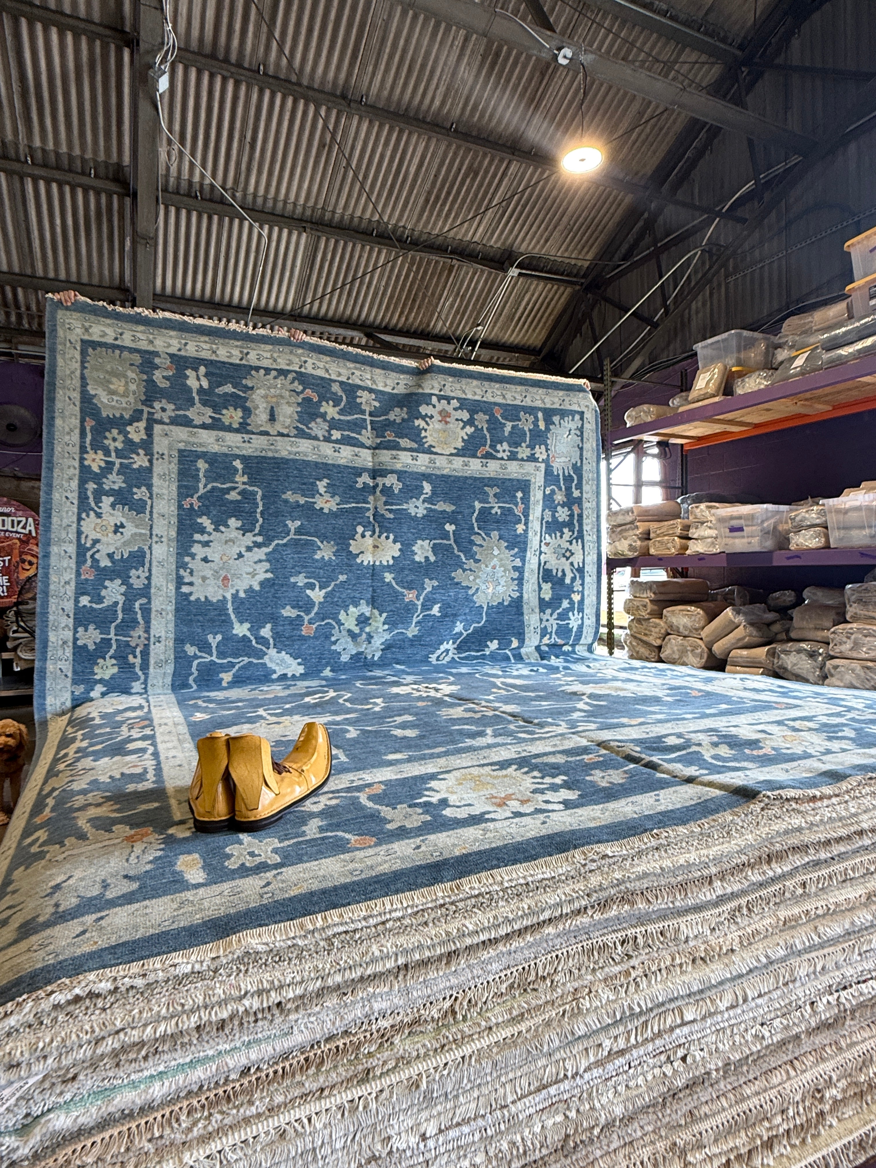 Wayona Lamb 10.3x14 Blue Hand-Knotted Rug