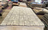 Logan 8x10 Hand-Knotted Ivory & Brown