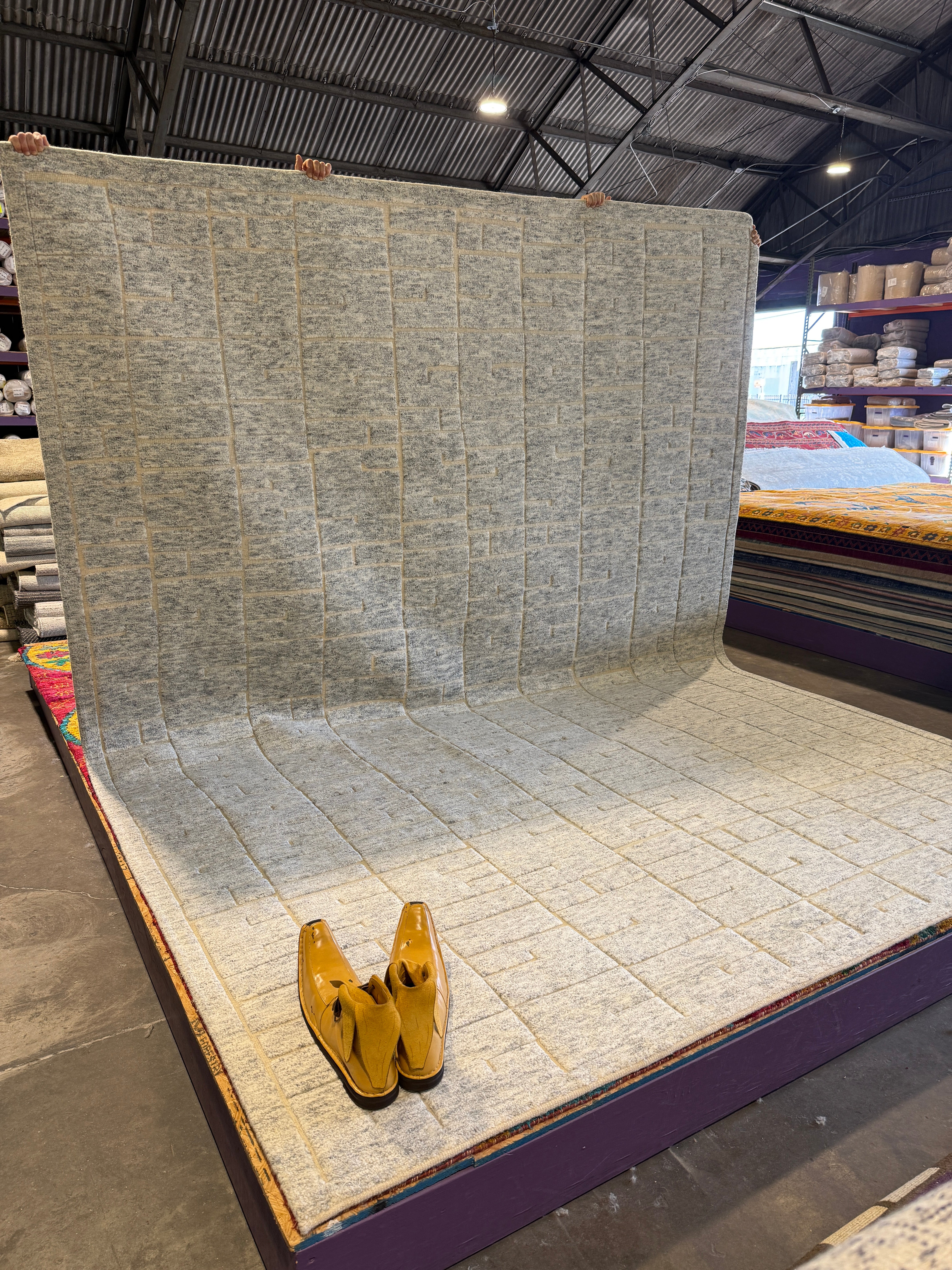 Frank 9x12 Hand-Knotted Natural High Low