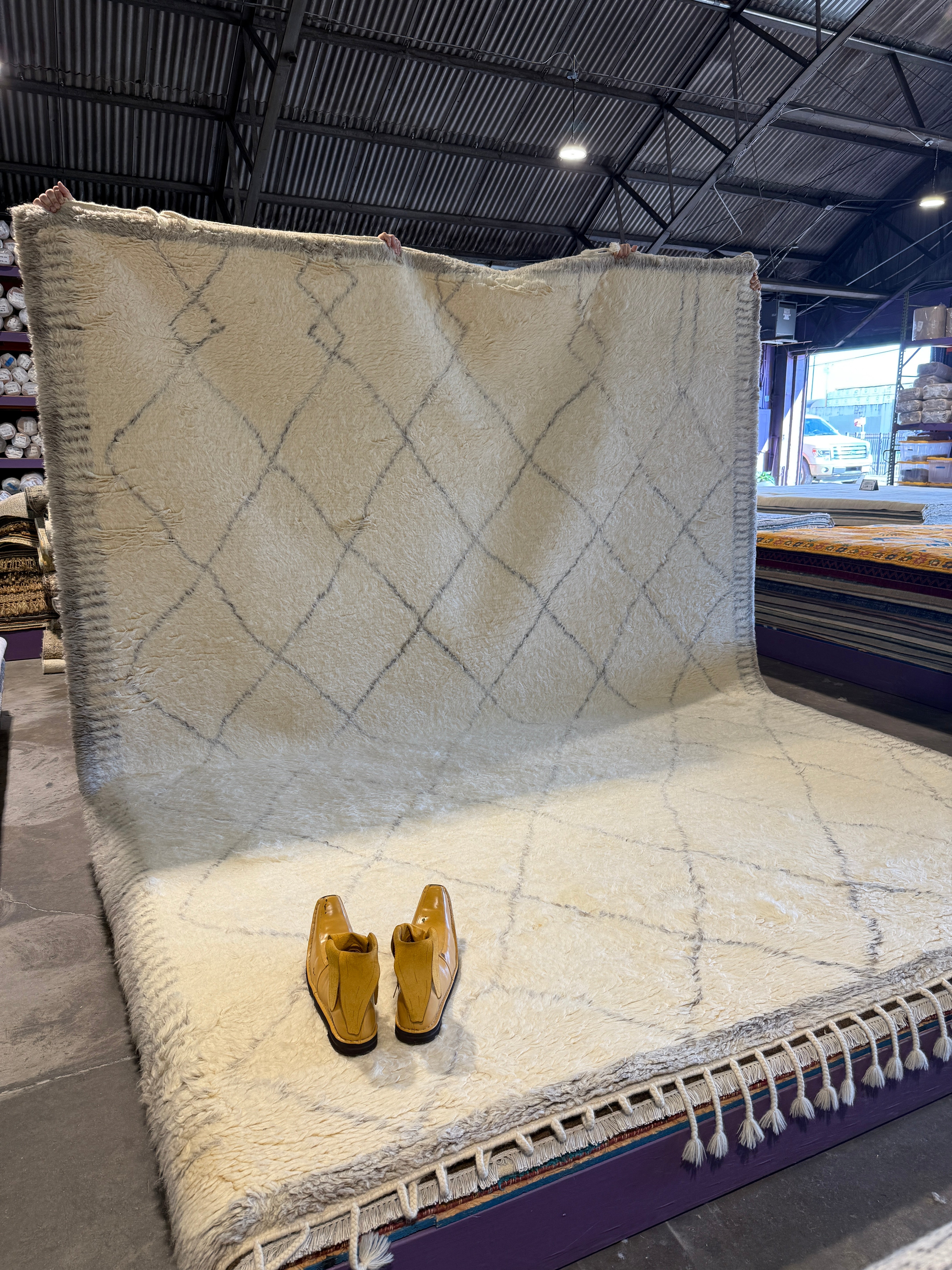 Joel Edgerton 9.3x12.3 Hand-Knotted Ivory Moroccan Style Rug