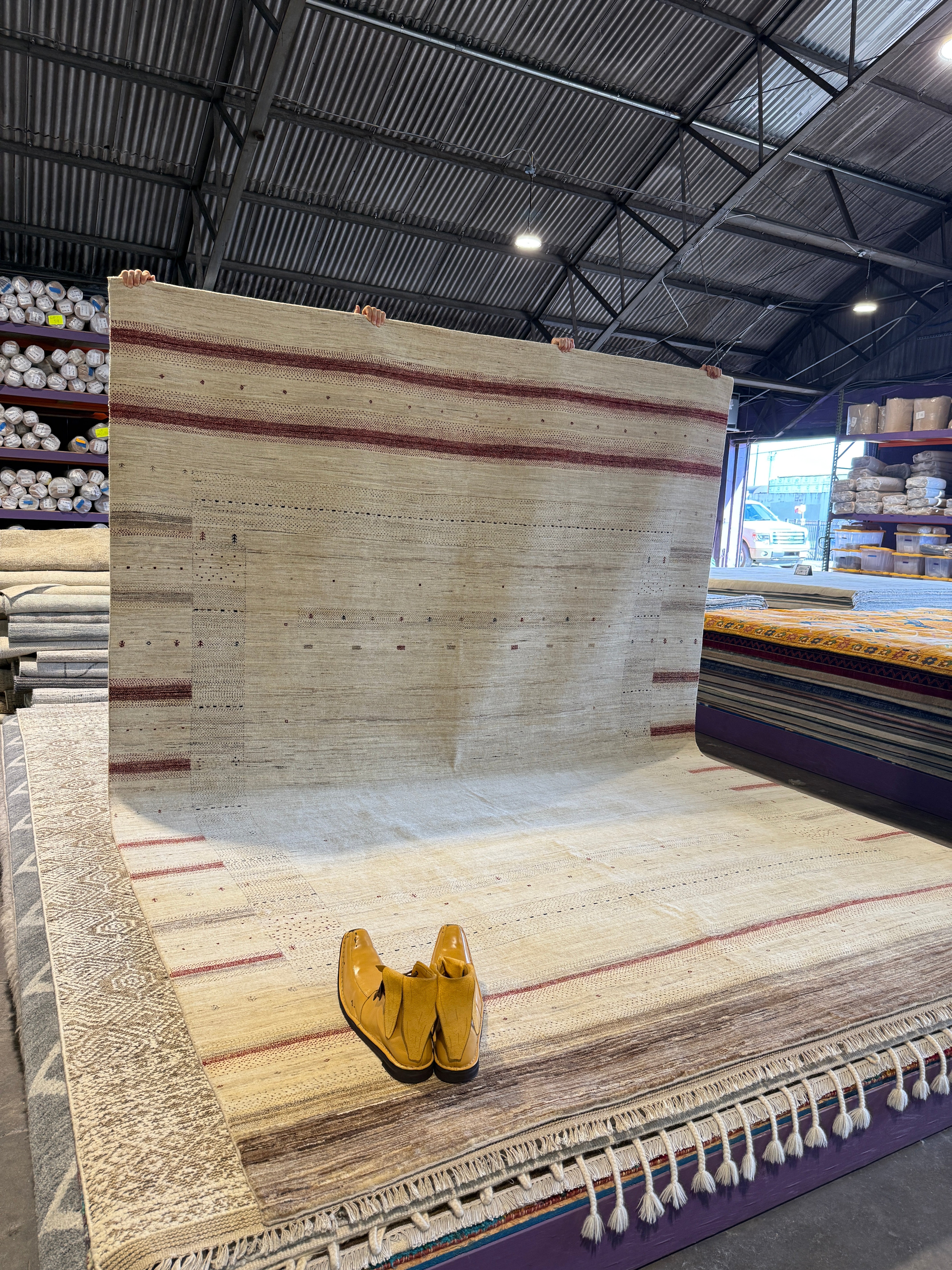 Janis 8.3x11.6 Hand-Knotted Beige Mix