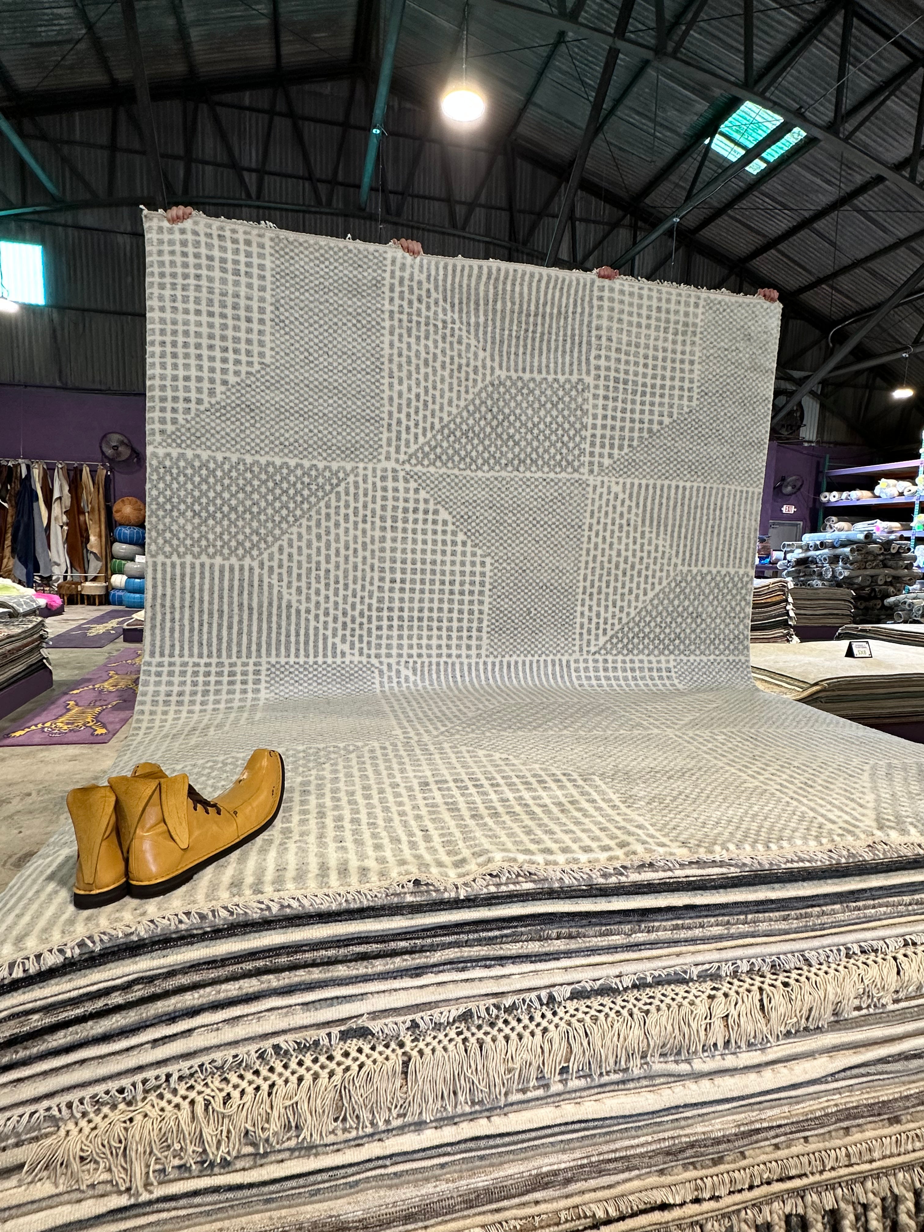 Ray 8.3x10 Hand-Knotted Ivory & Grey High Low