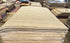 Ryan 8.3x10 Hand-Knotted White & Grey Cut Pile