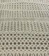 Ryan 8.3x10 Hand-Knotted White & Grey Cut Pile