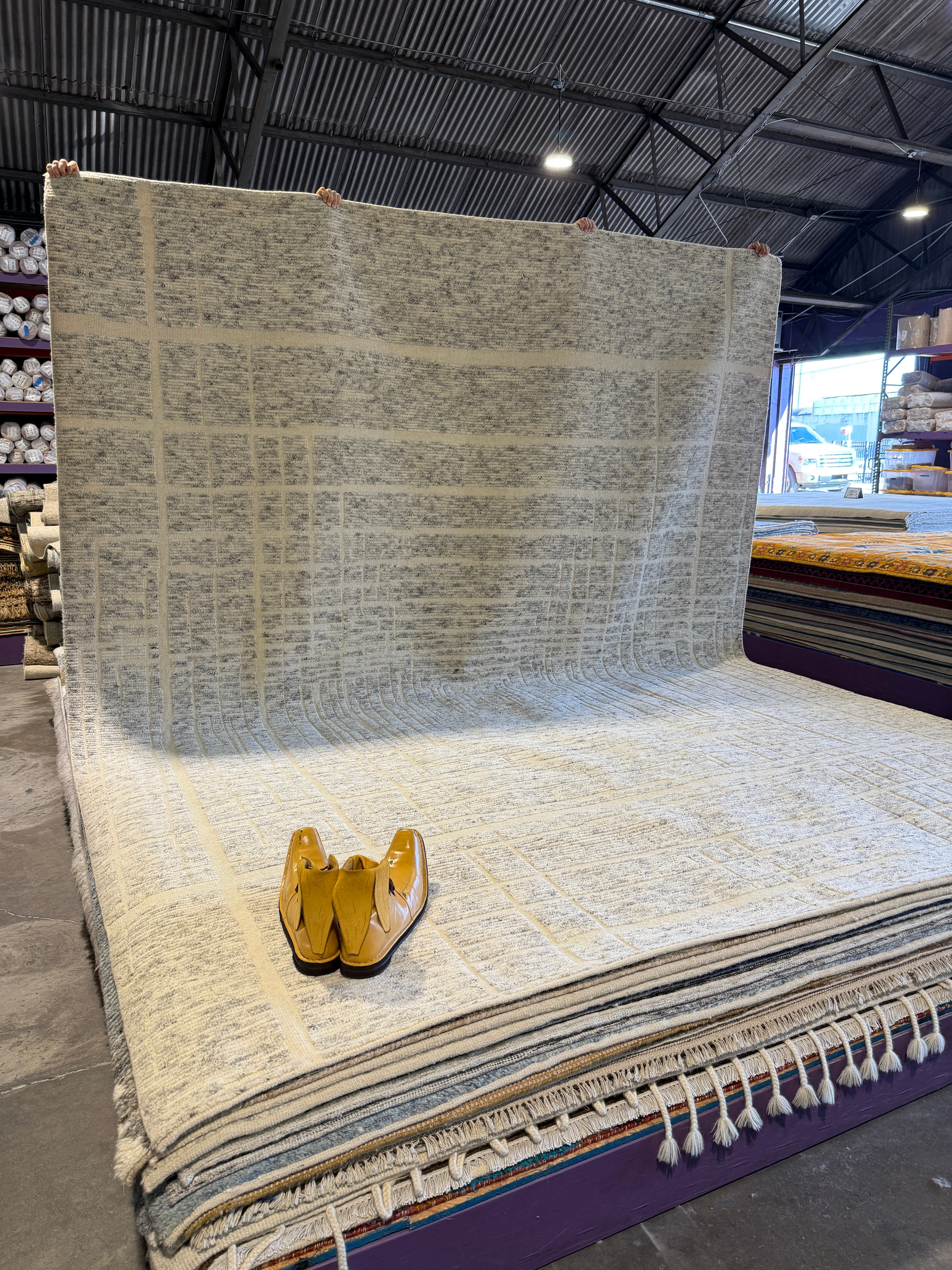 Silva 9.3x11.9 Hand-Knotted Natural Modern