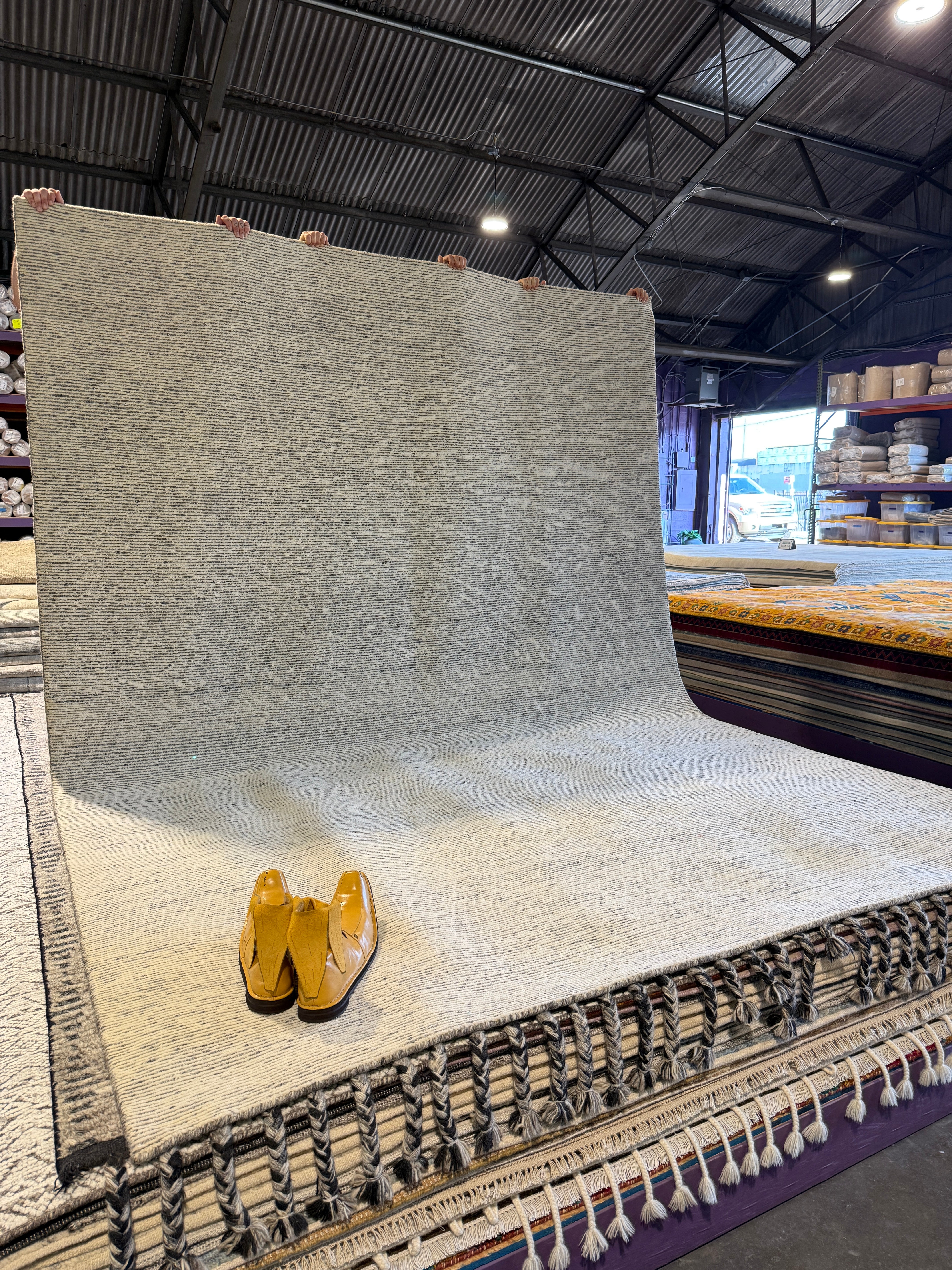 Allegra 8.3x11.6 Hand Knotted Ivory & Grey