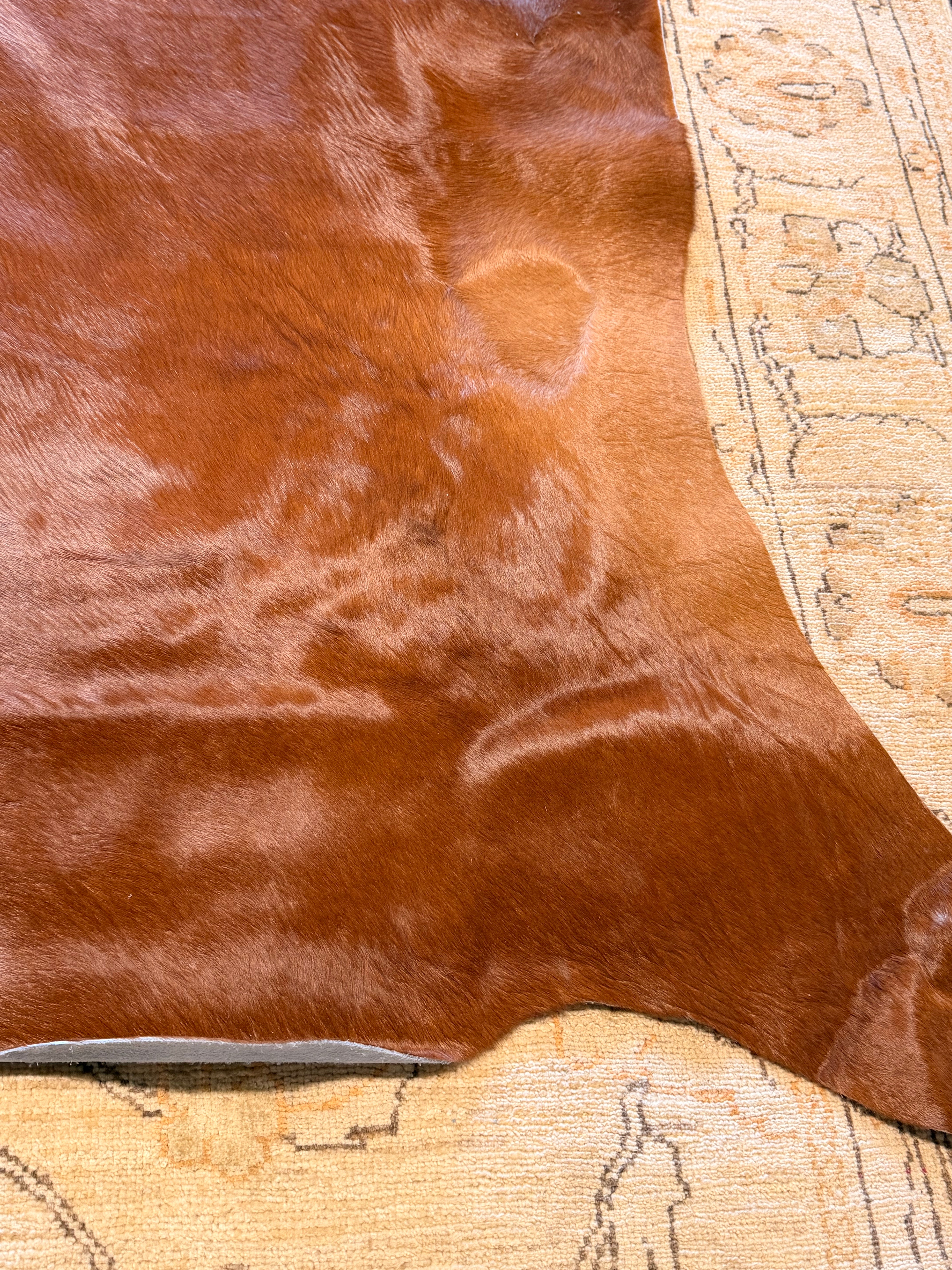 Solid Red Brown 6.1x6.3 Medium Cowhide Rug